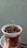 A small green seedling is growing in a clear plastic container filled with soil. The container is being held by a hand, and the background is a plain, light-colored wall. The soil appears dark and moist, with small white particles scattered on the surface.