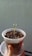 A small green seedling is growing in a clear plastic container filled with soil. The container is being held by a hand, and the background is a plain, light-colored wall. The soil appears dark and moist, with small white particles scattered on the surface.
