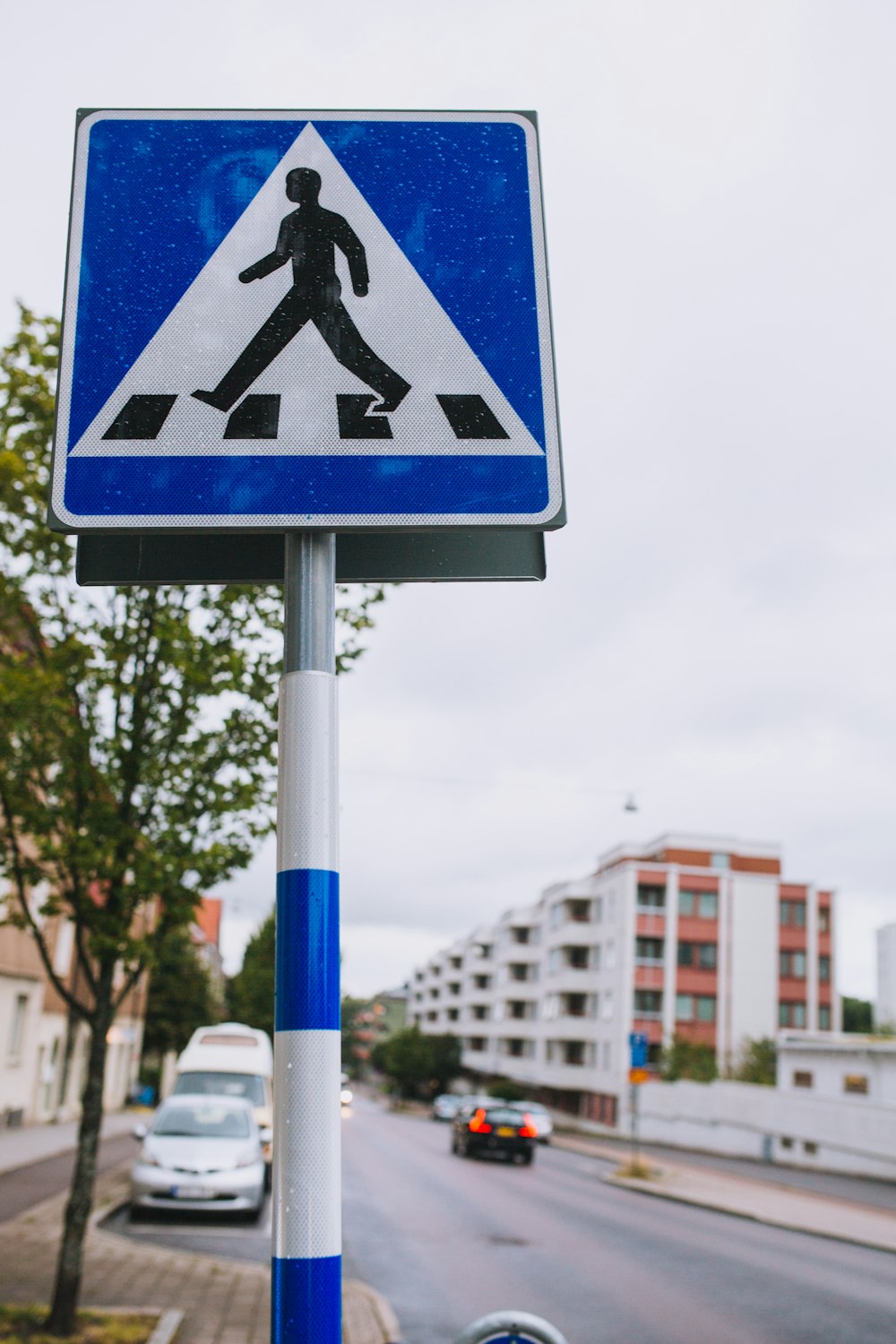 blue and white pedestrian lane sign