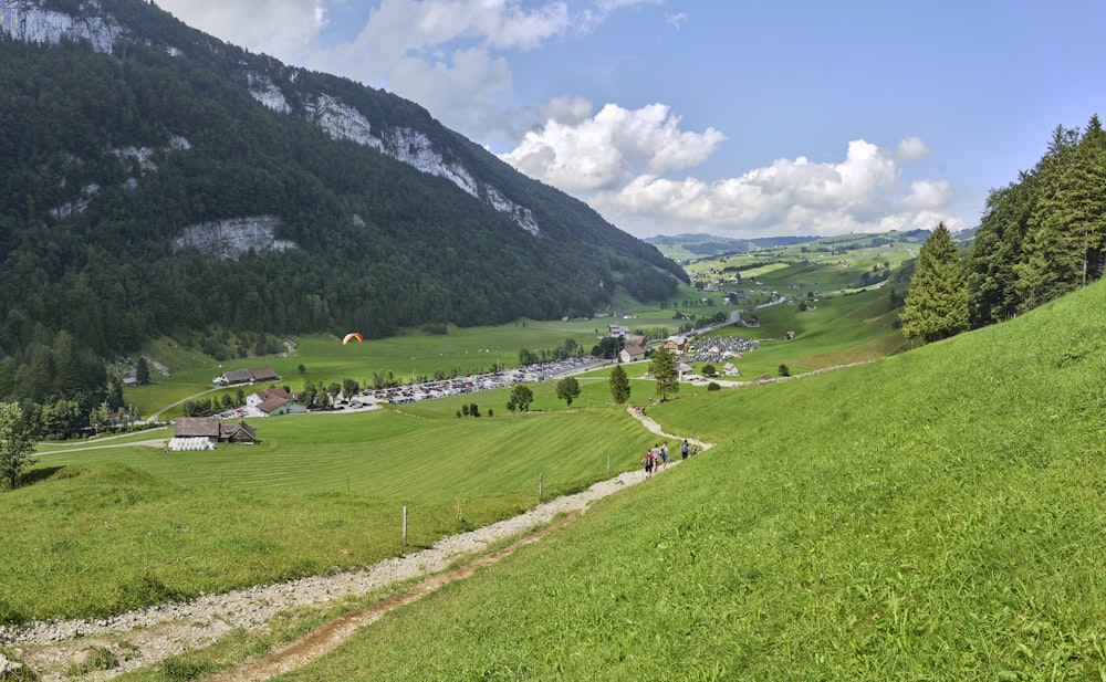 una vista panoramica di una valle verde con una montagna sullo sfondo