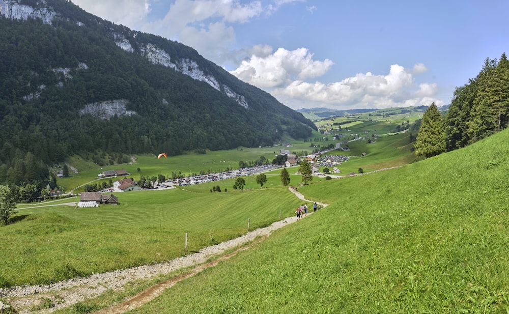 a scenic view of a green valley with a mountain in the background