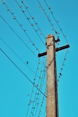 a power pole with a bunch of birds sitting on it