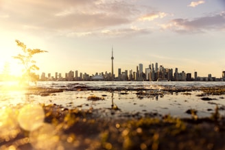 Toronto skyline by the Lake Ontario