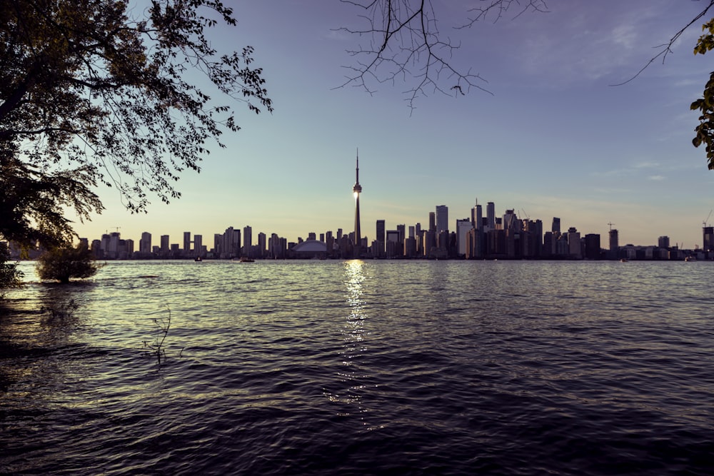 body of water and buildings