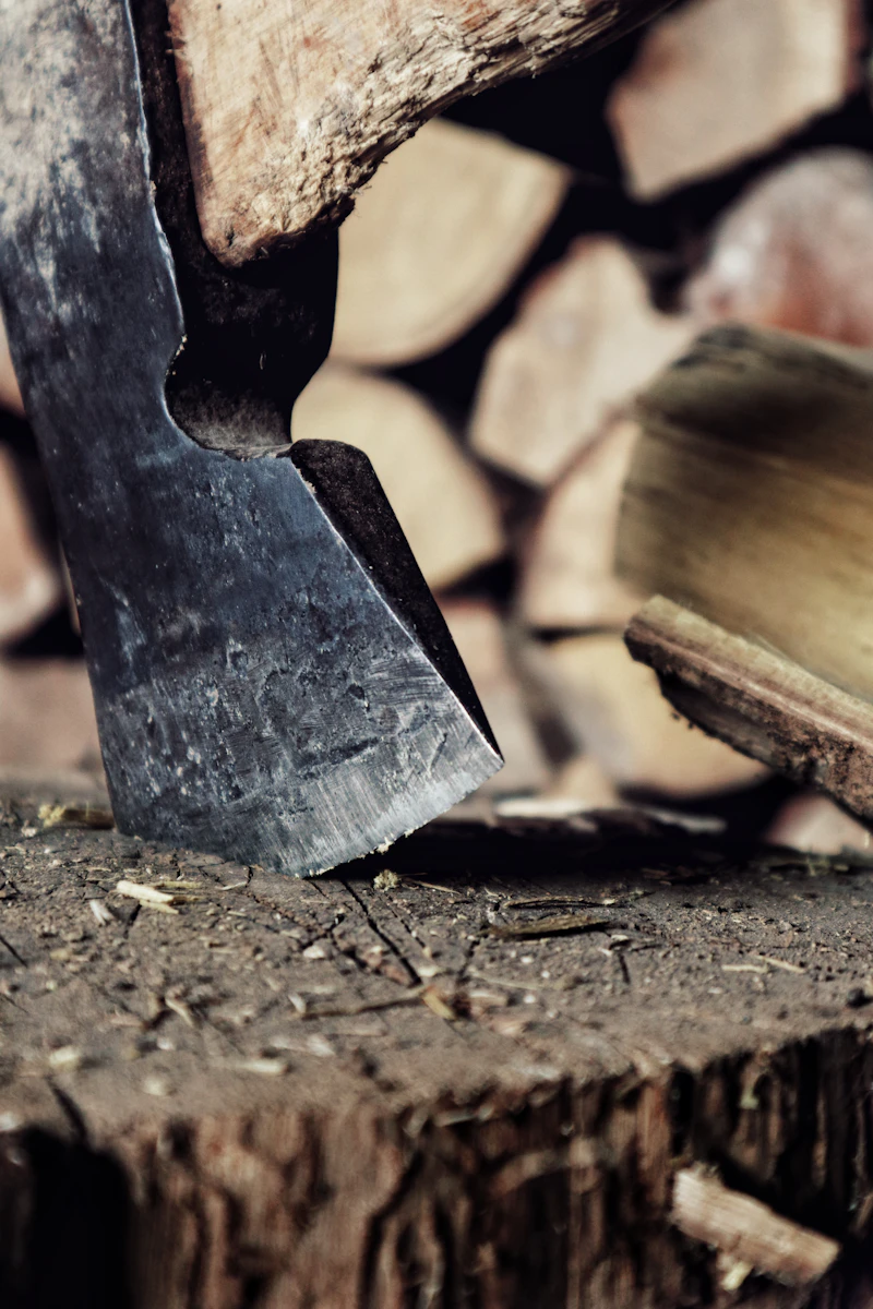 Axt auf einem Holzstamm, Zubehör zum Heizen mit Holz