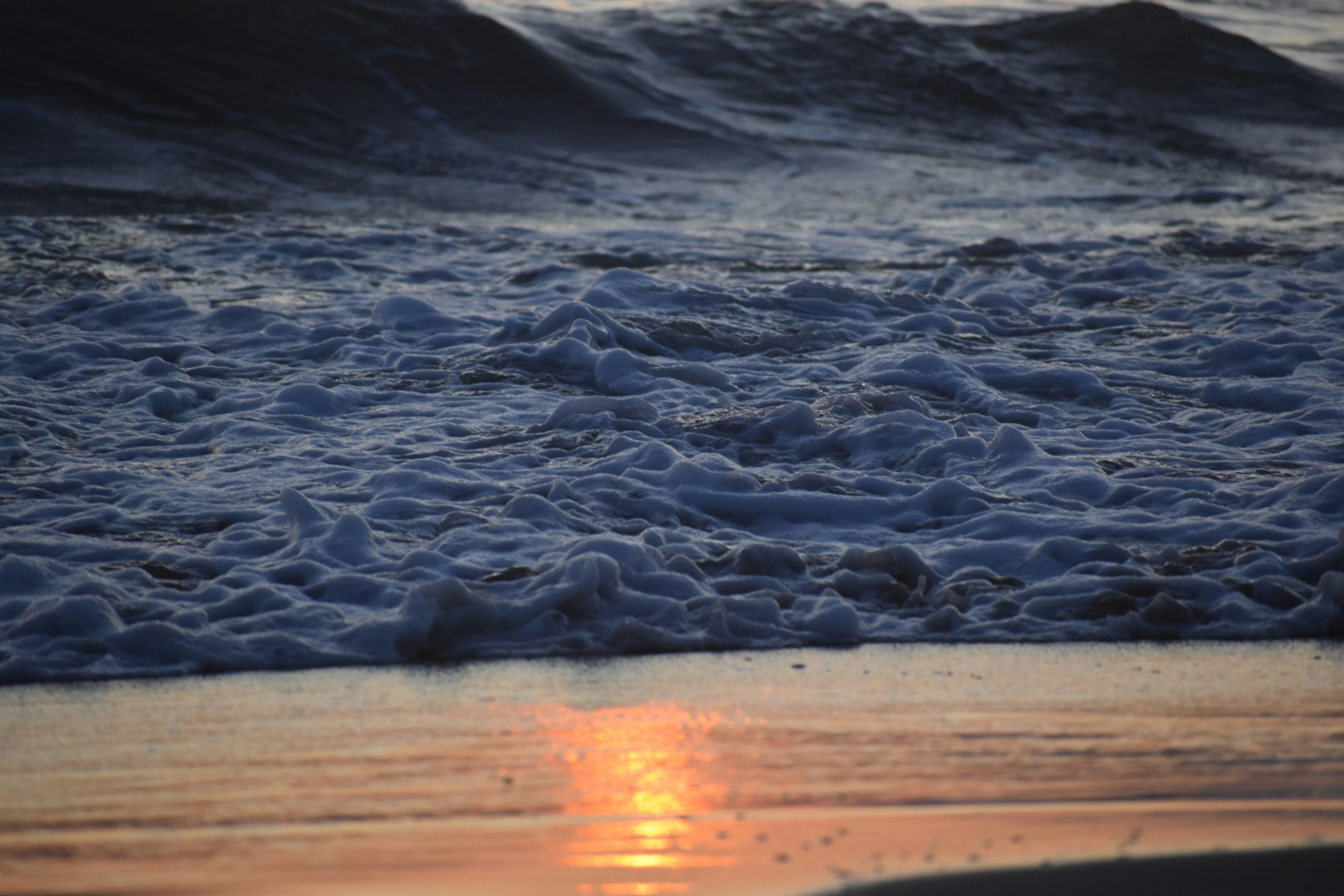 Photo by pictures102