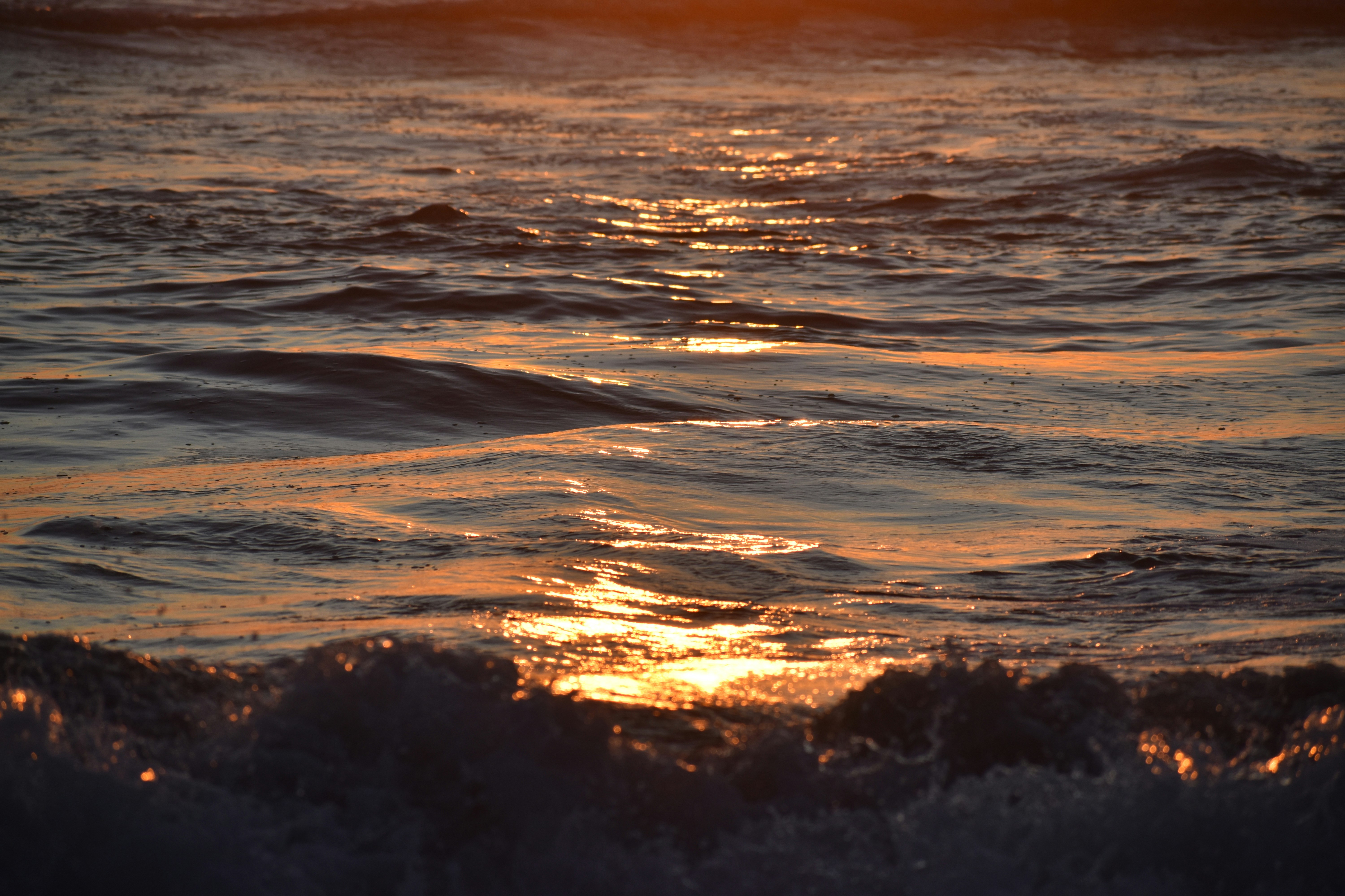 Photo by pictures102