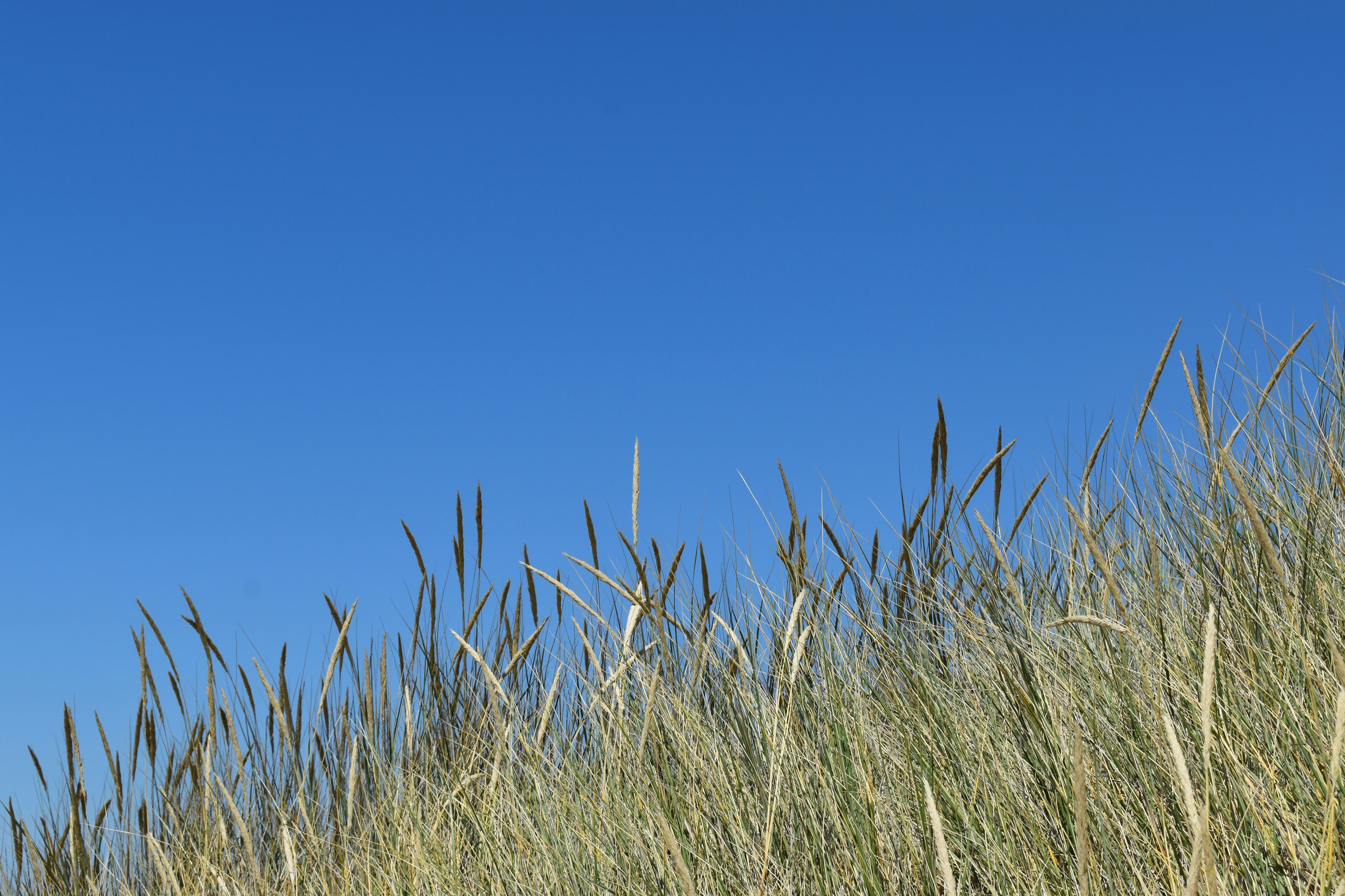 Photo by pictures102