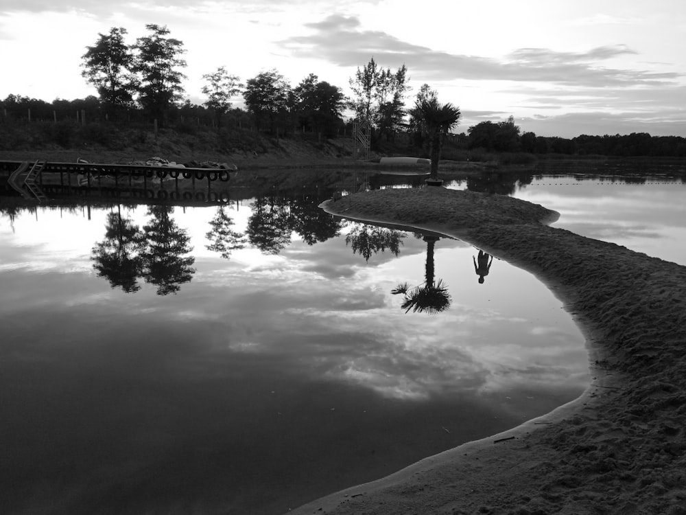 body of water near tree