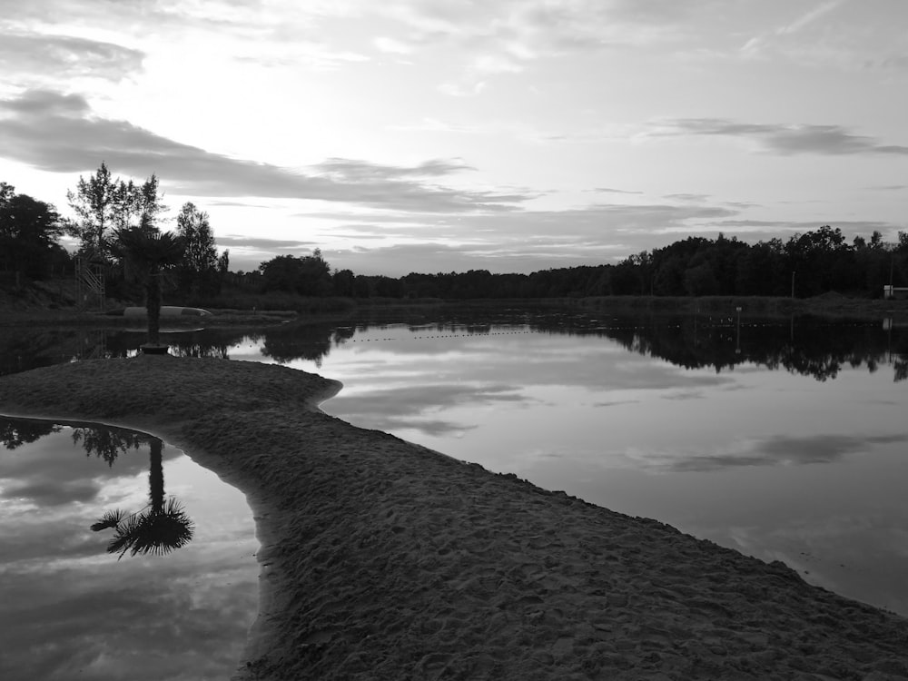 grayscale photography of reflection of trees on body of water