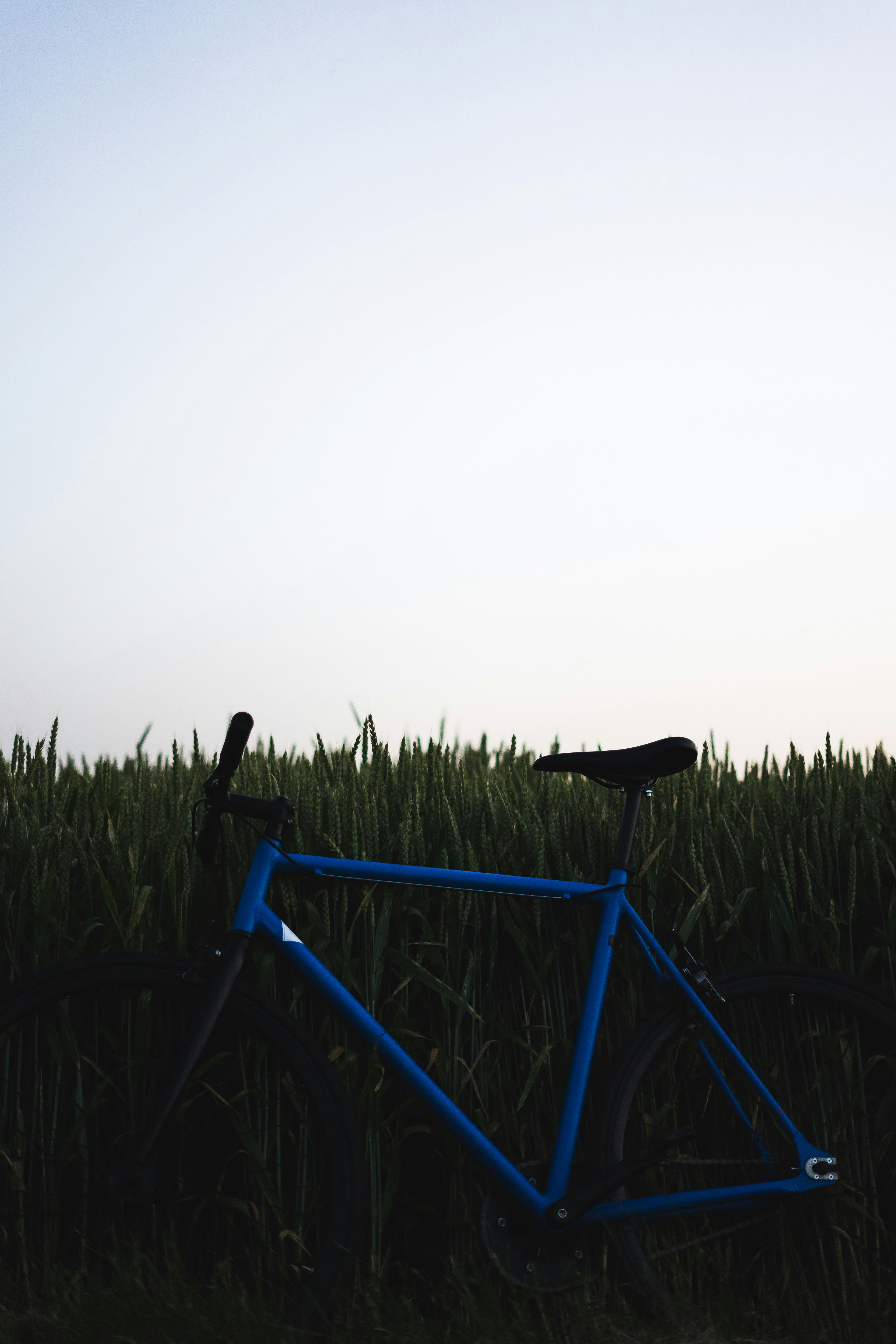 Photo by virussinside