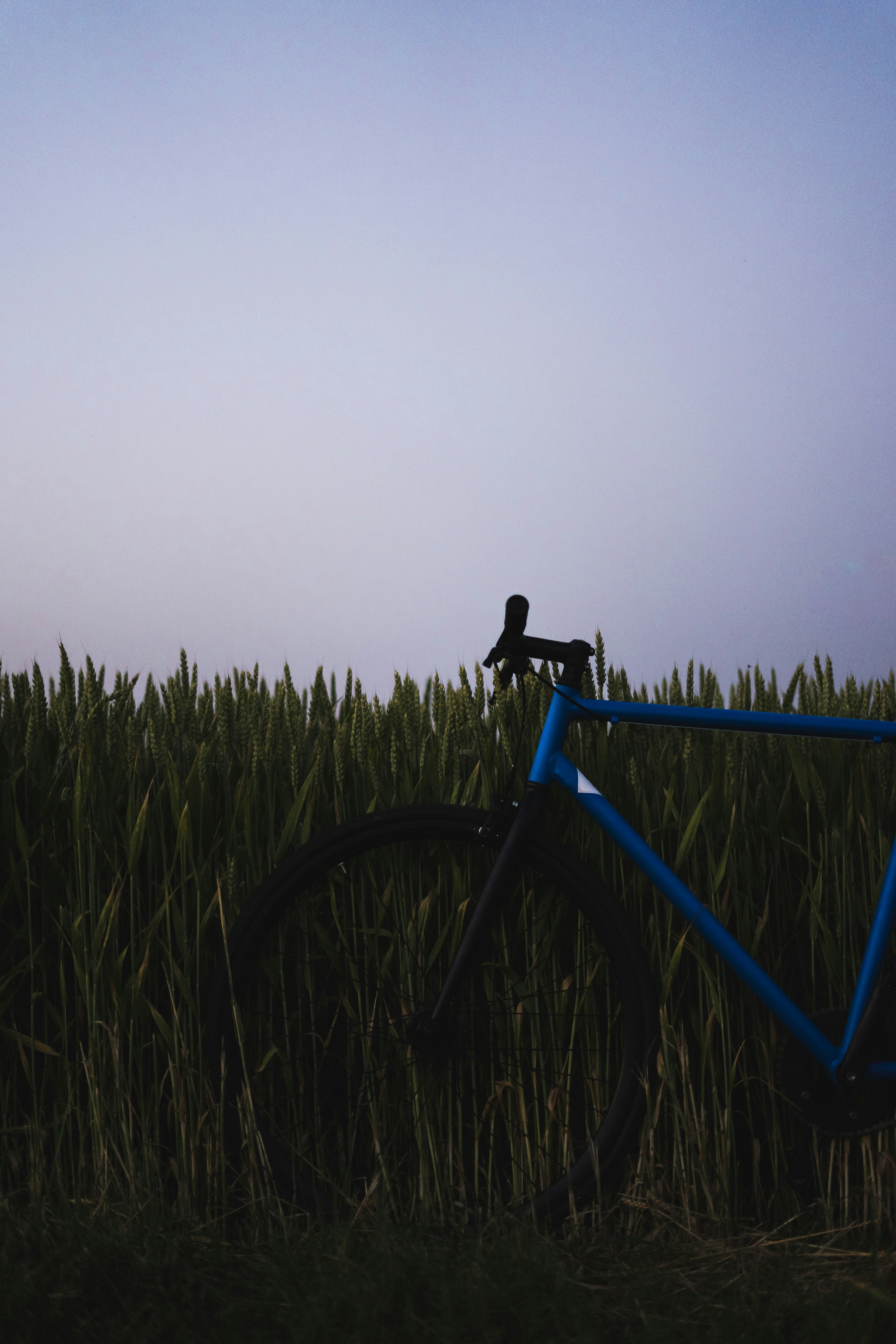 Photo by virussinside