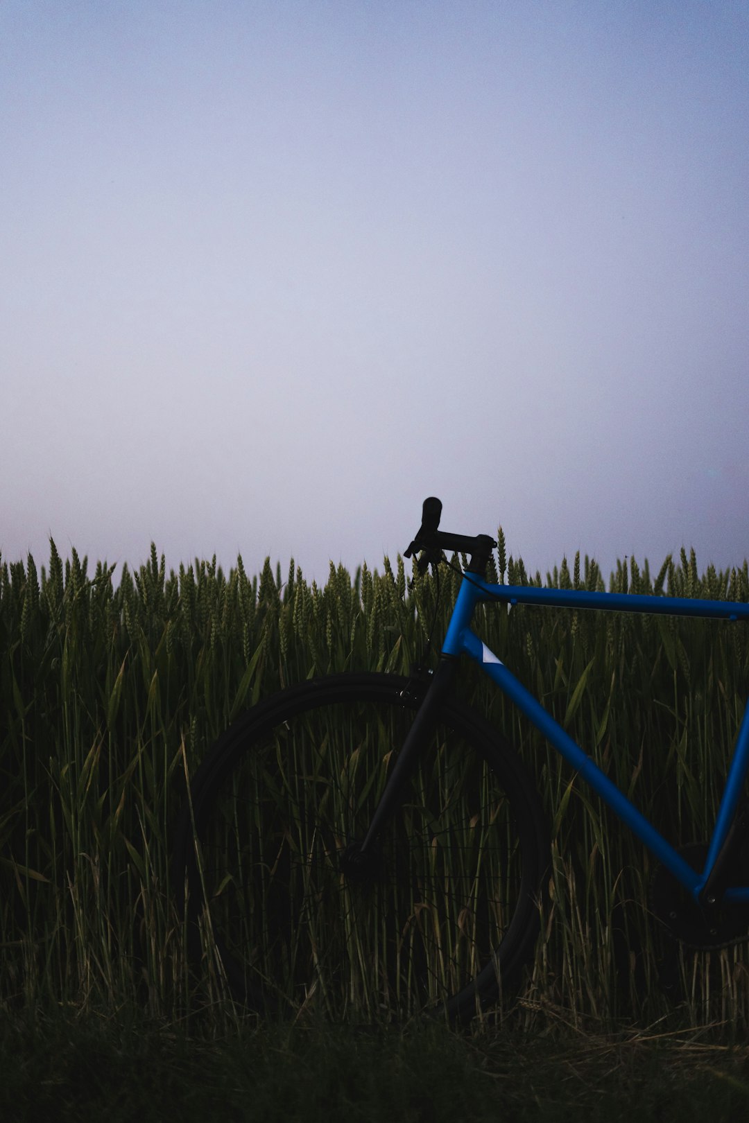 blue and black bicycle park beside grass