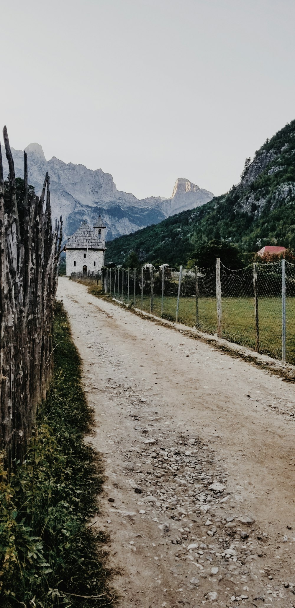 pathway under white sky