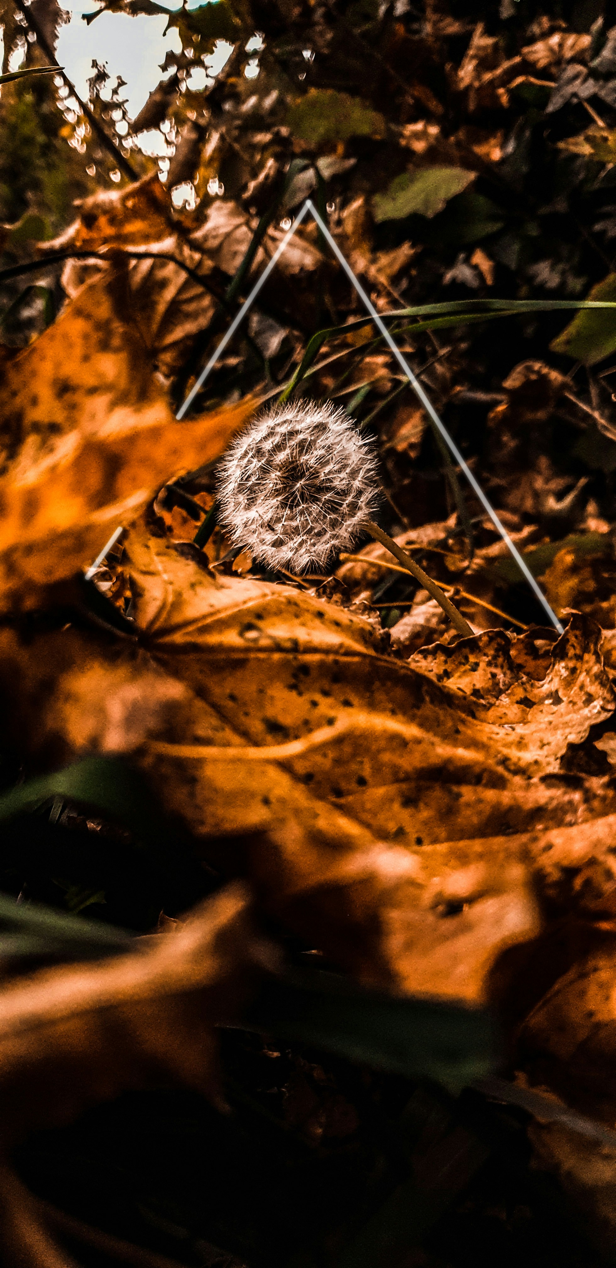 Photo by sp_photoraphy