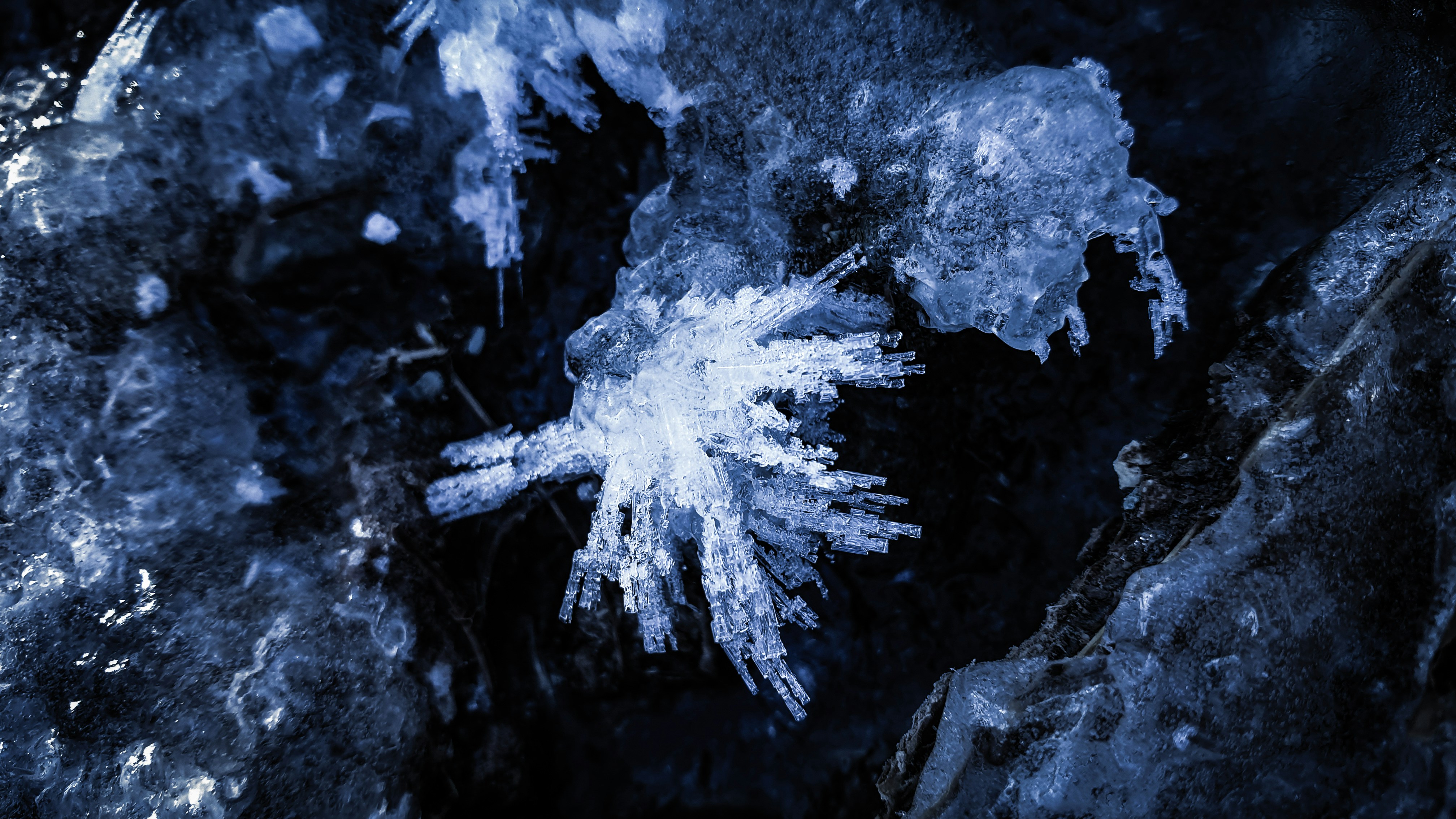 Photo by sp_photoraphy