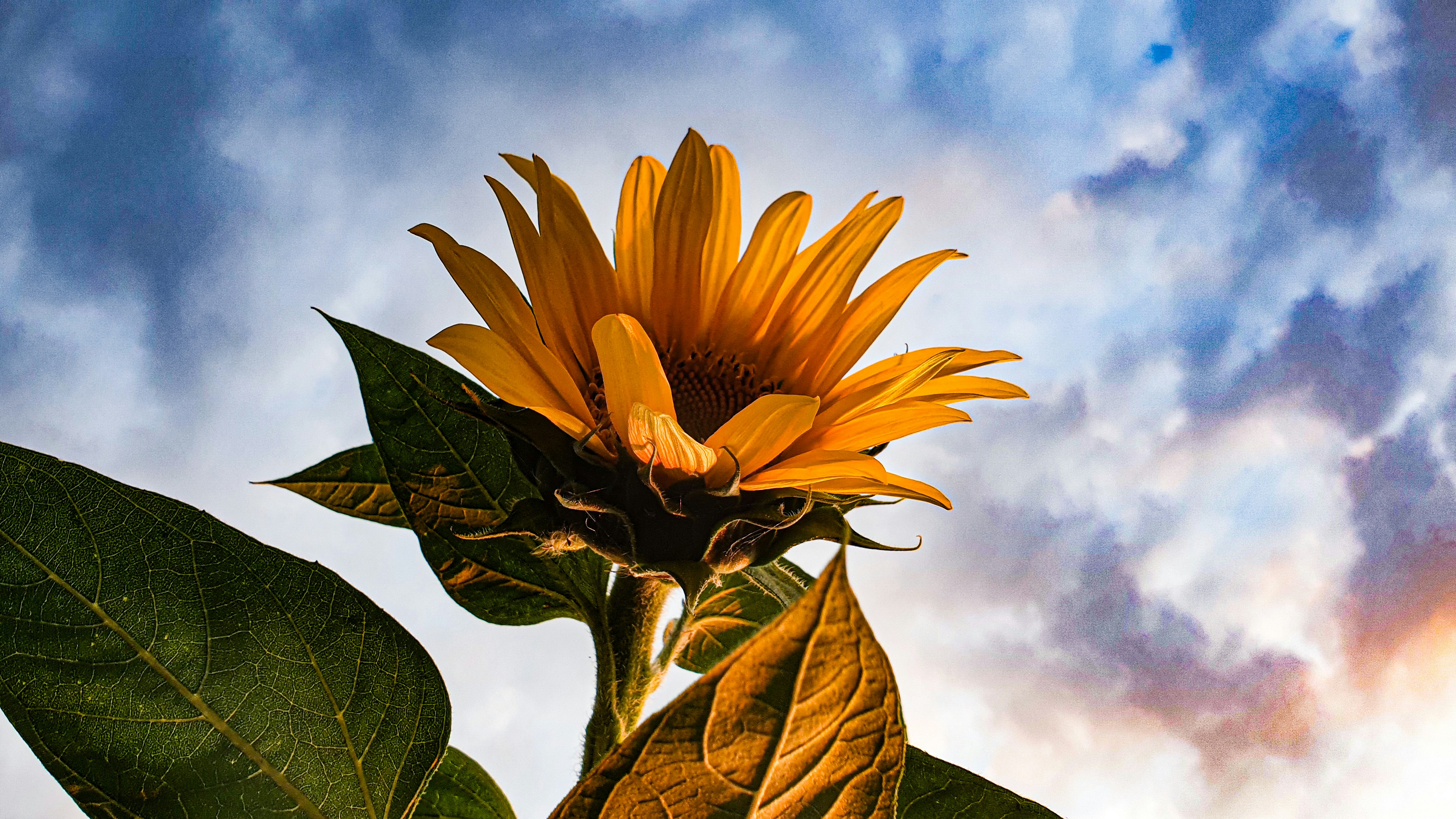 Photo by sp_photoraphy