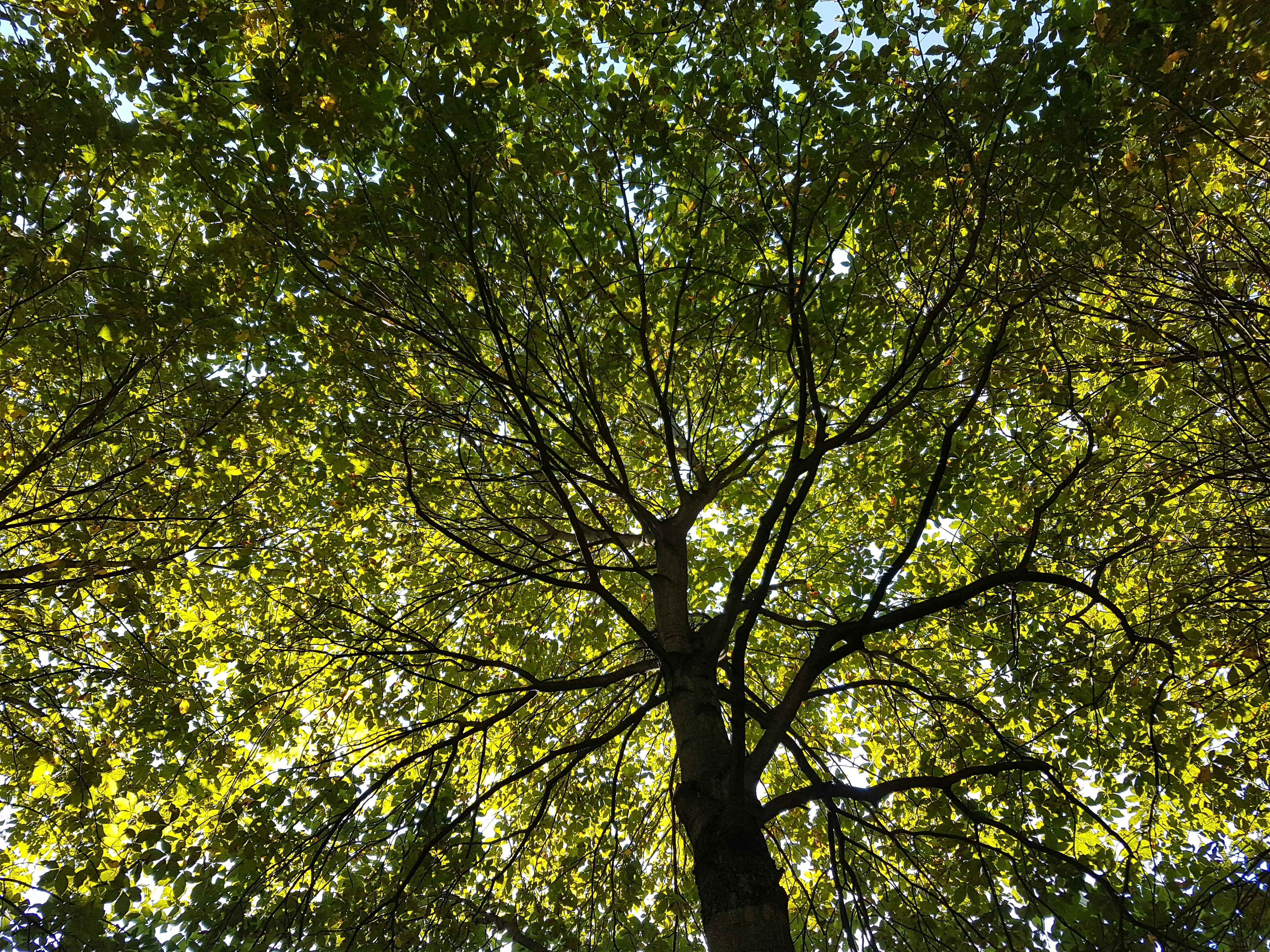 Photo by mouradblokpoel