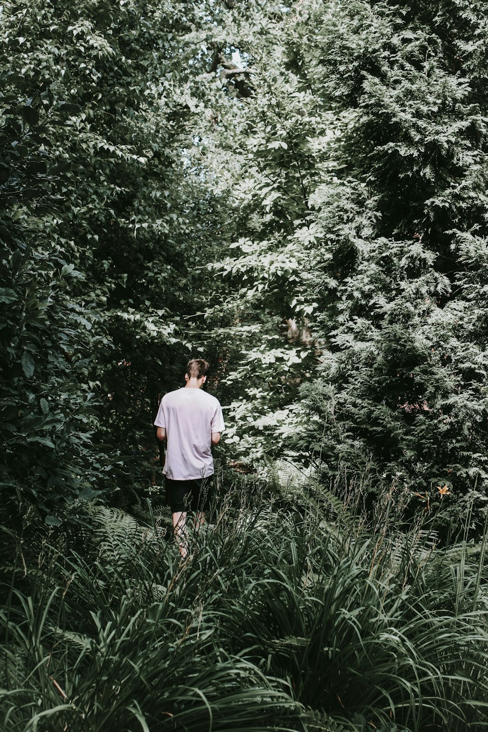 man wearing white shirt in forest