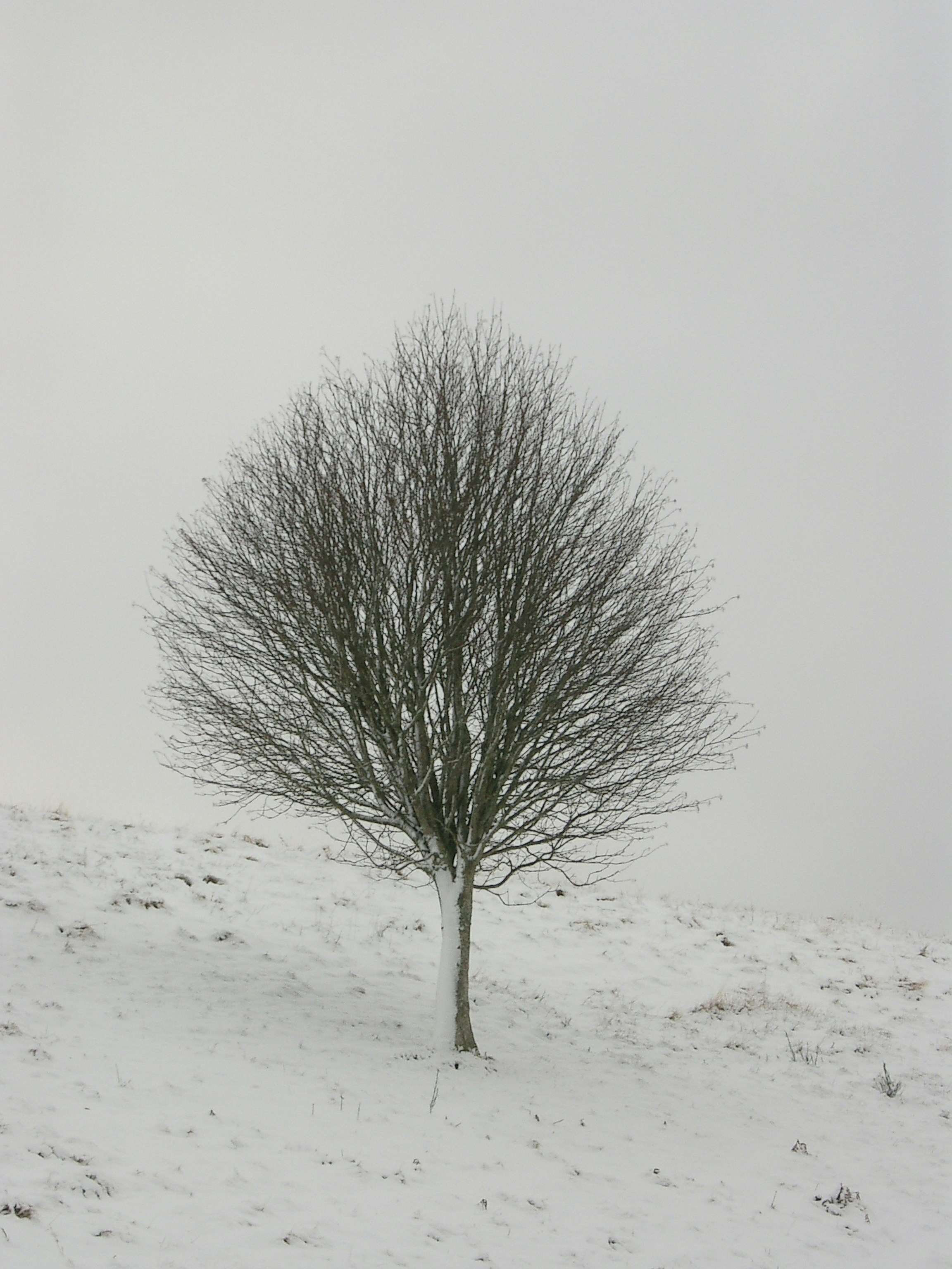 Photo by nairnbairn