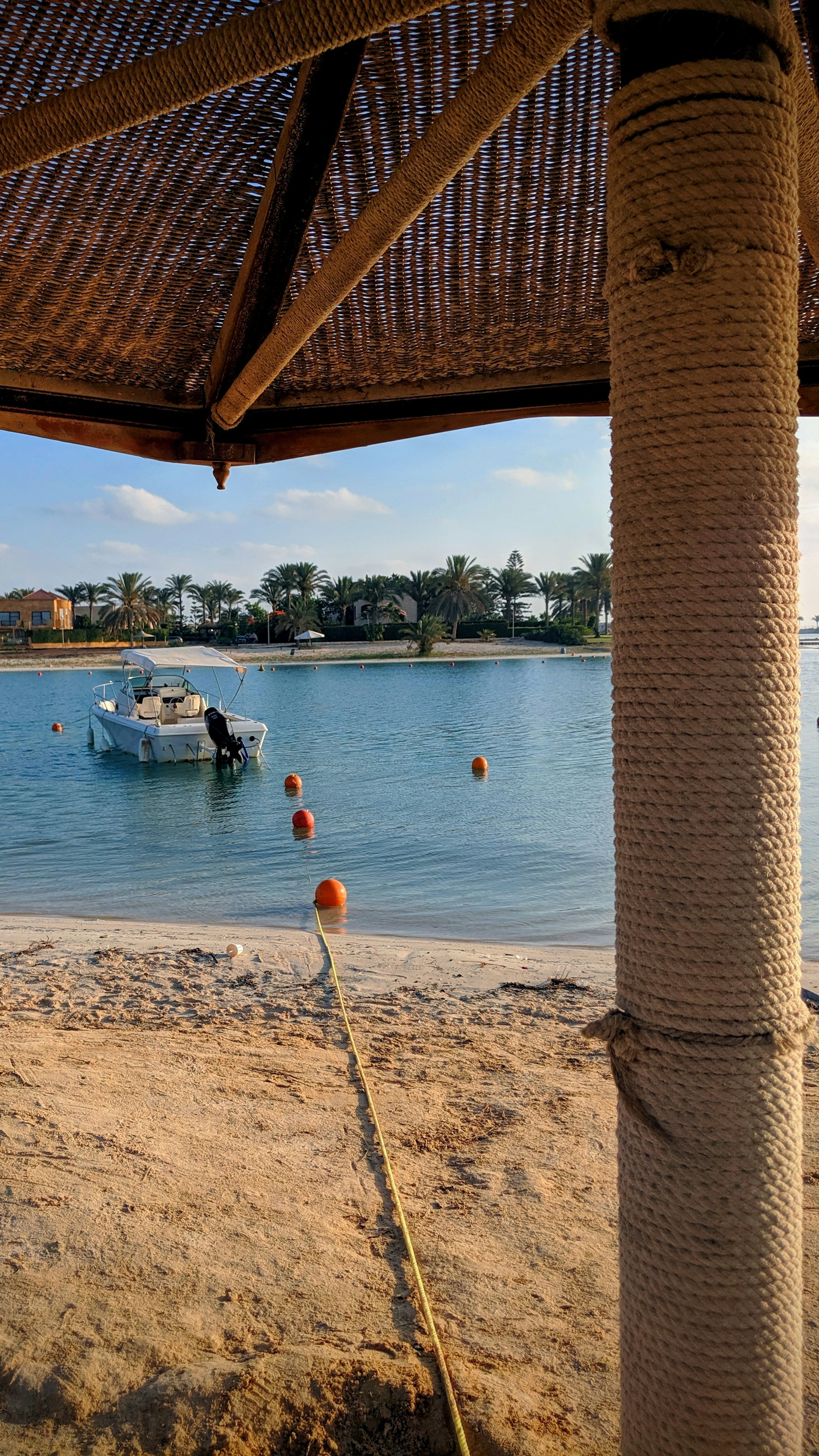 woman holding dried flower