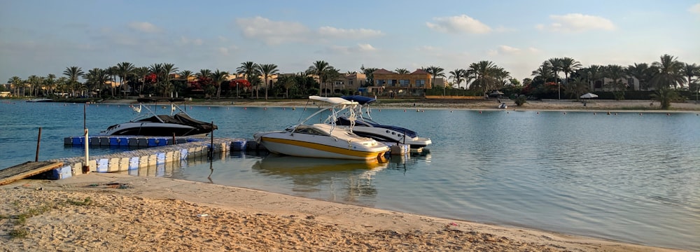 three boats on shore during daytime