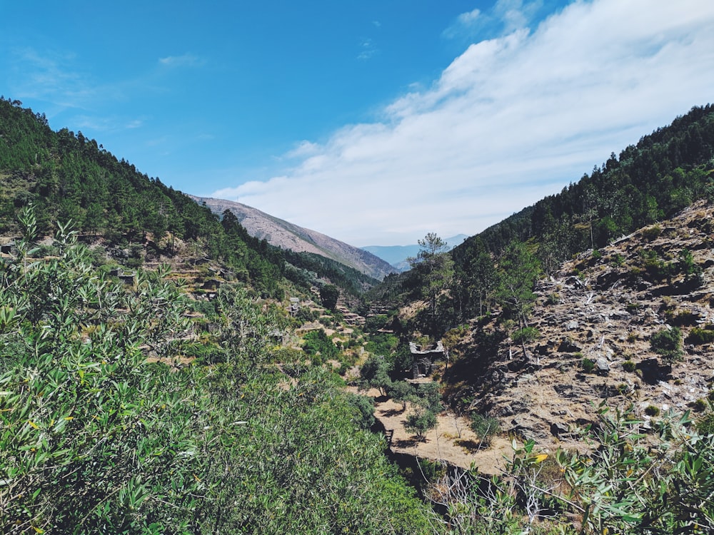 green and brown mountains