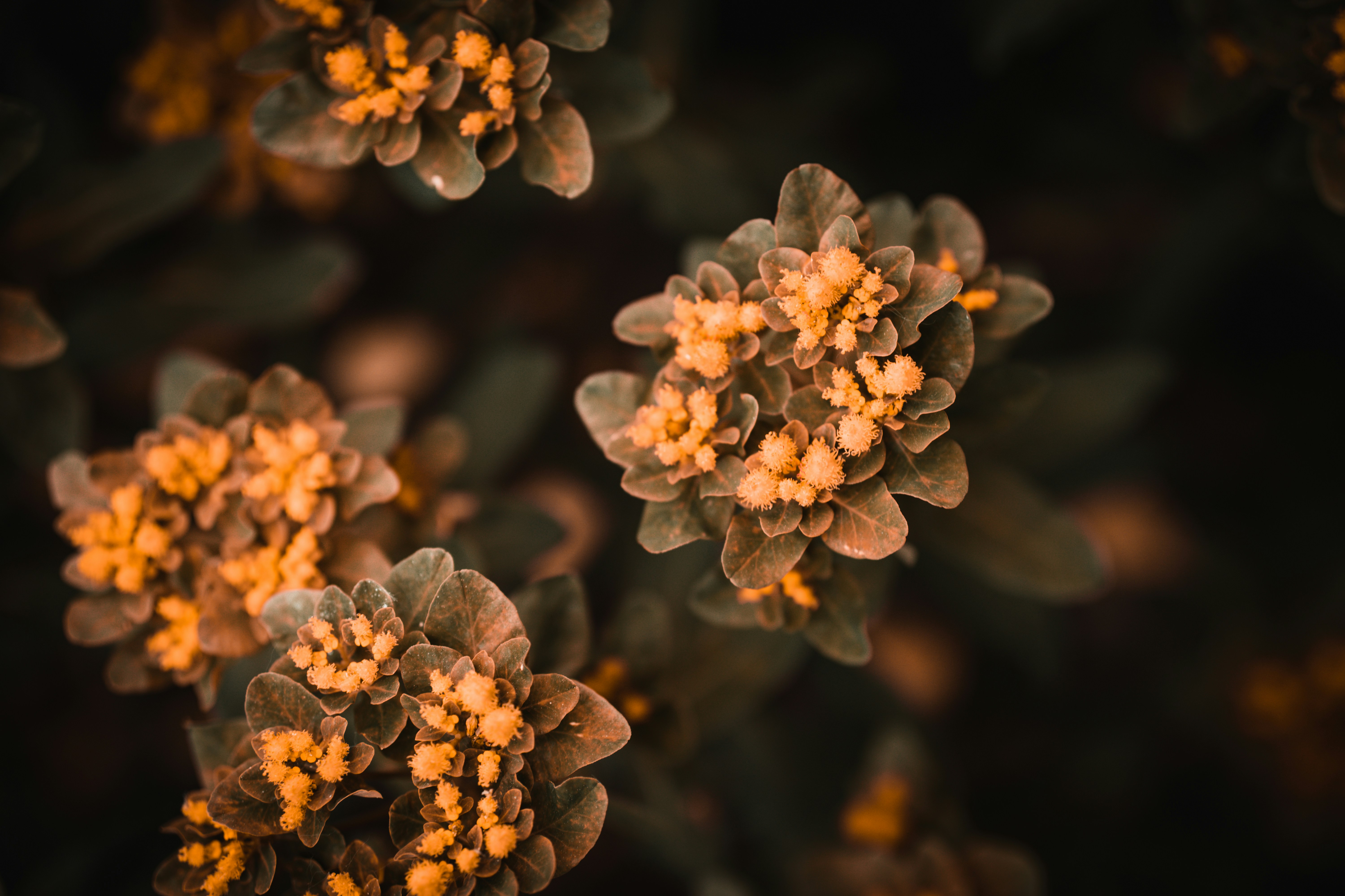 Photo by paulsteuber