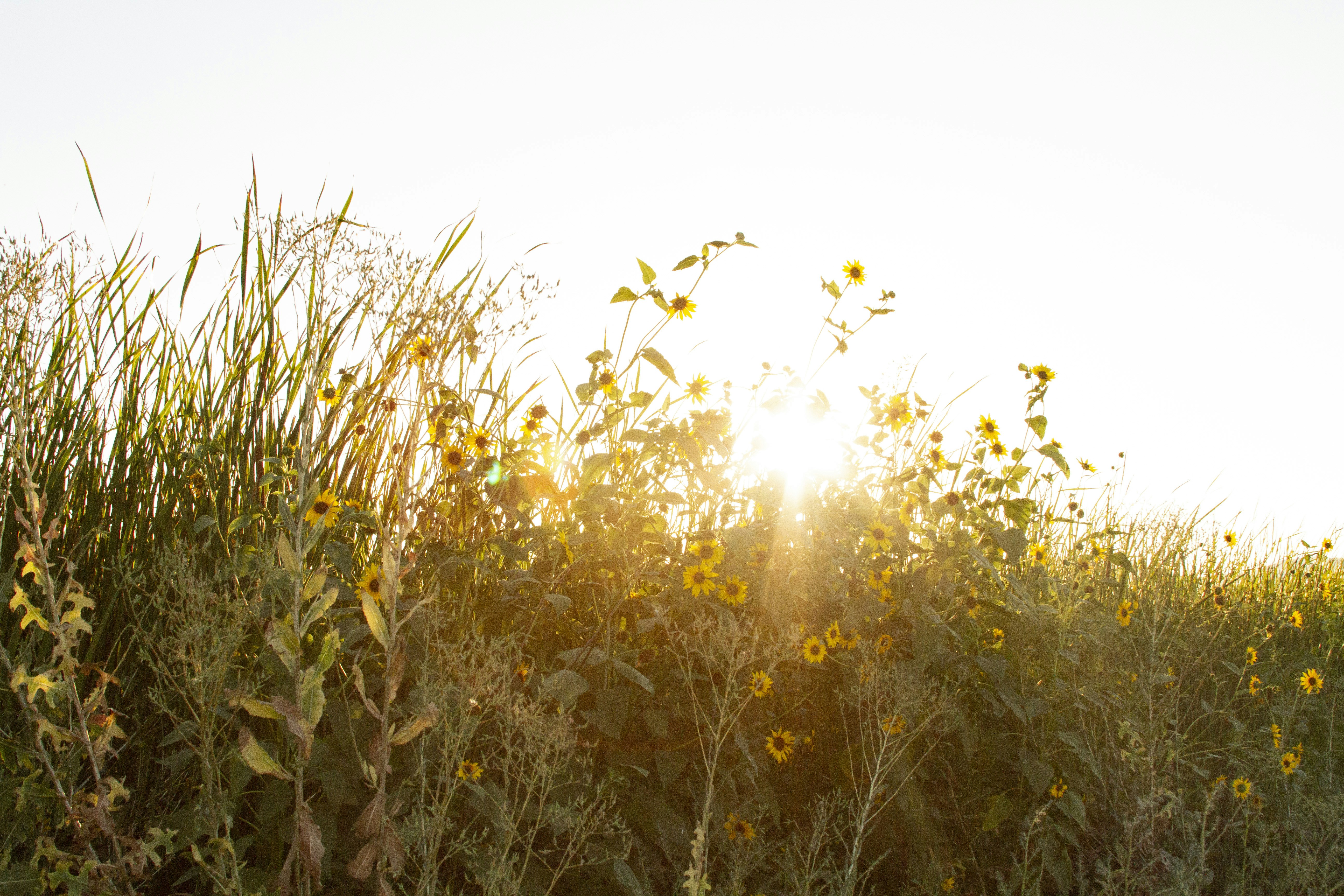 Photo by matti_johnson