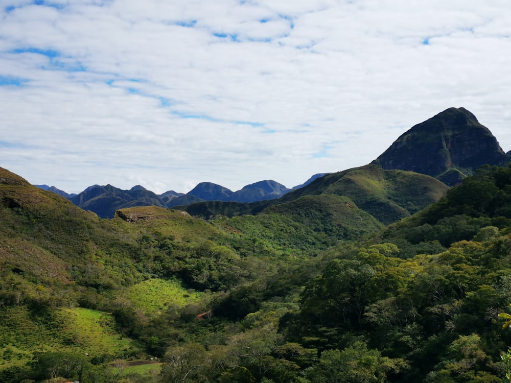 green covered hills