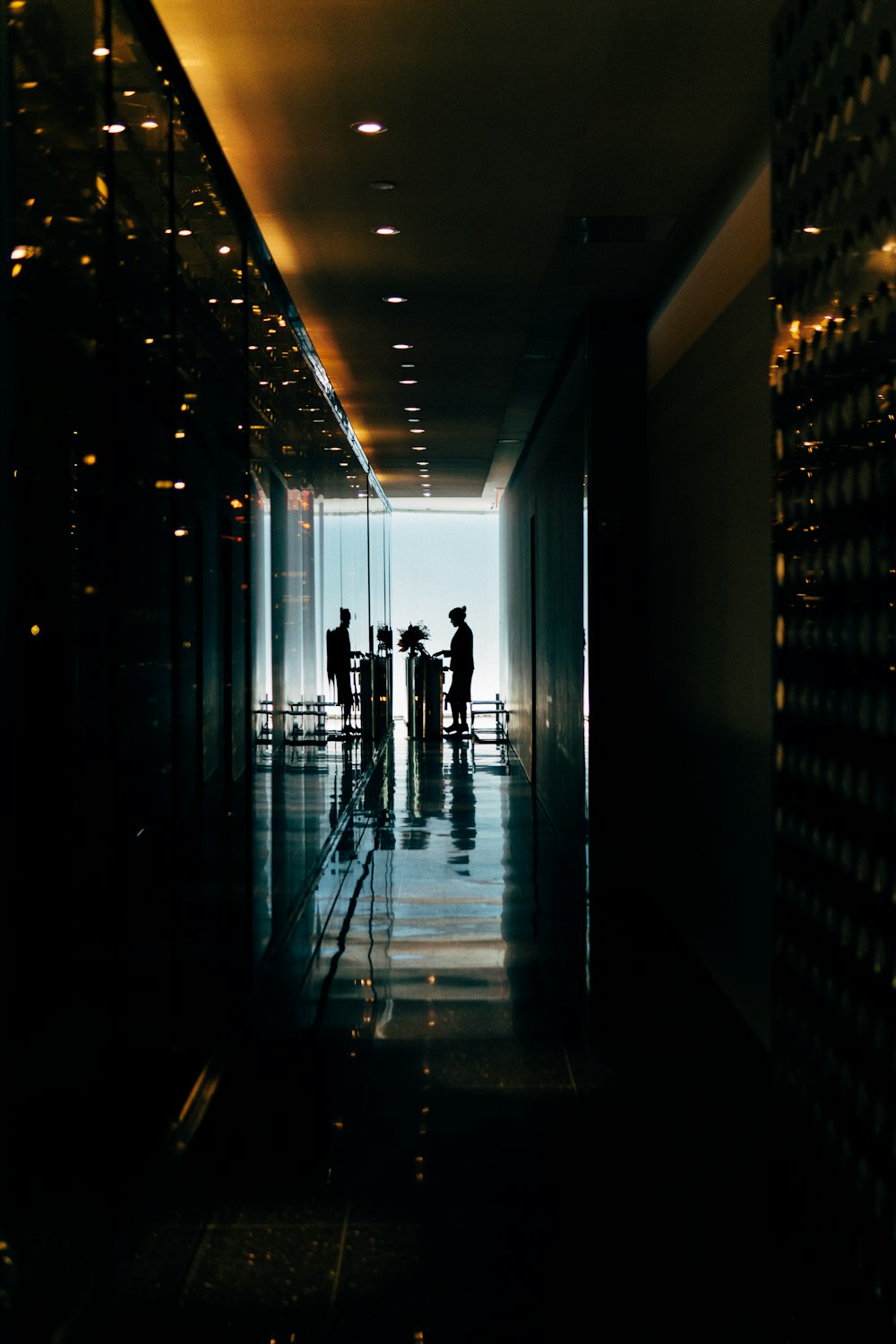 silhouette of standing woman