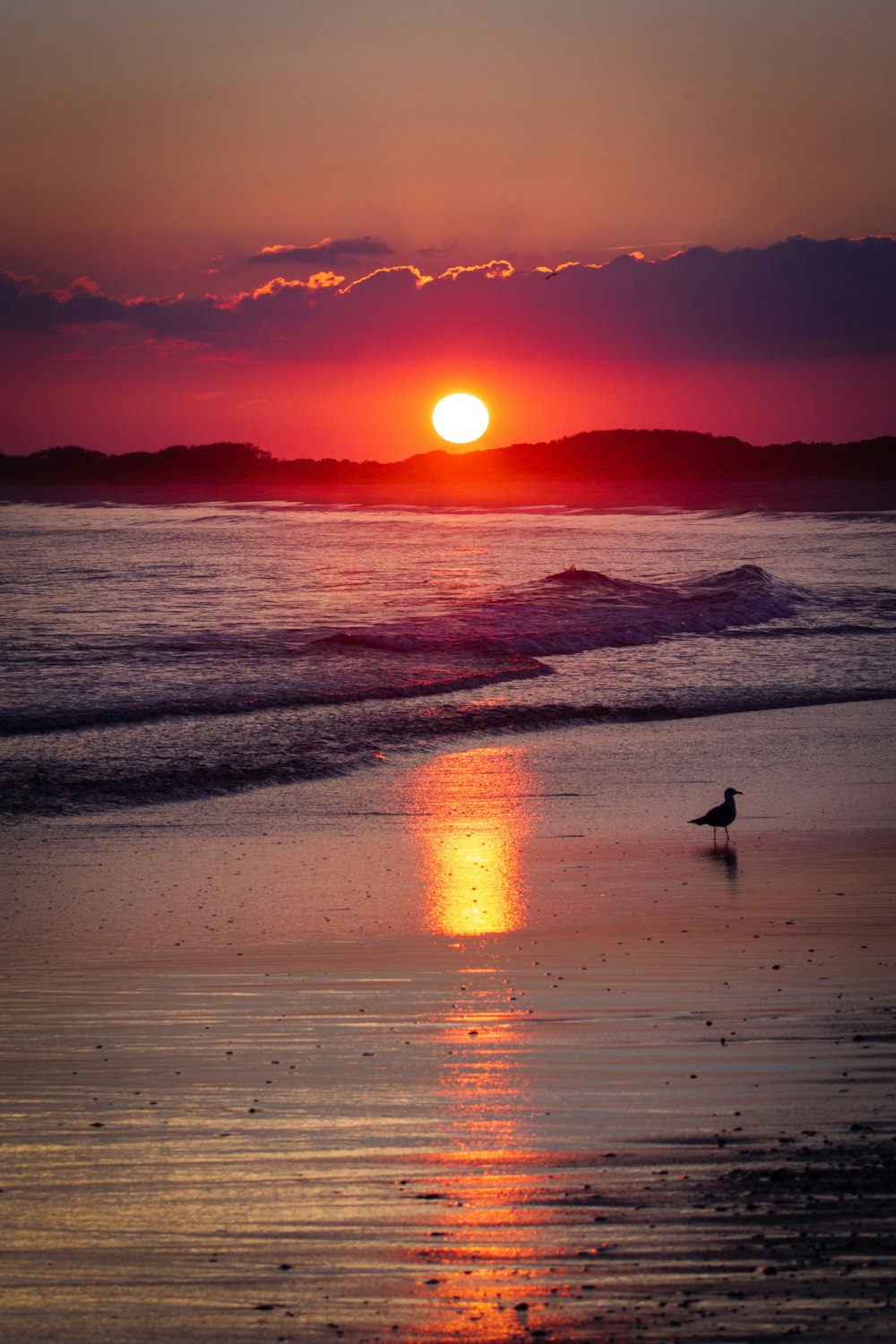 golden hour in beach