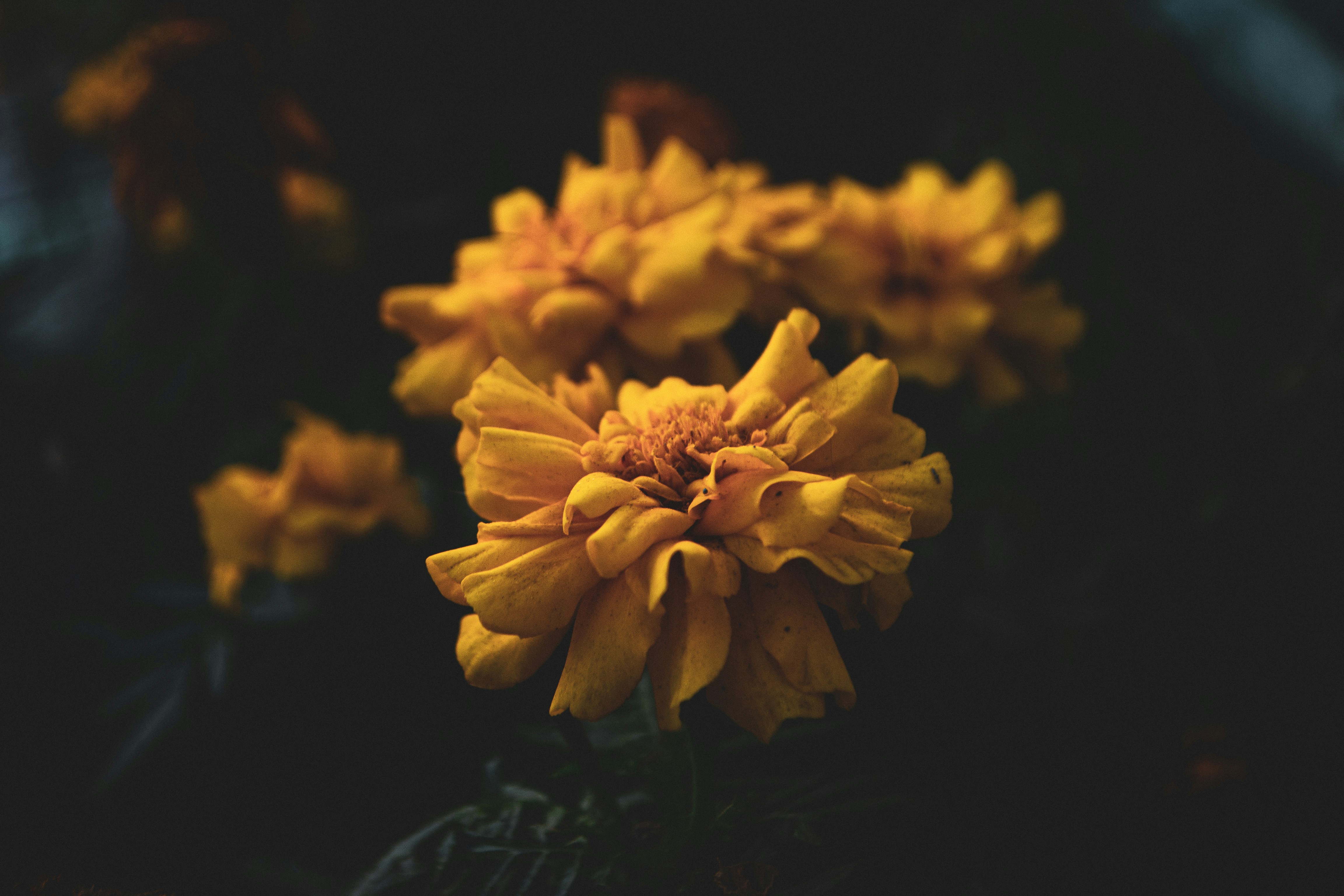 Photo by agustinfernandez