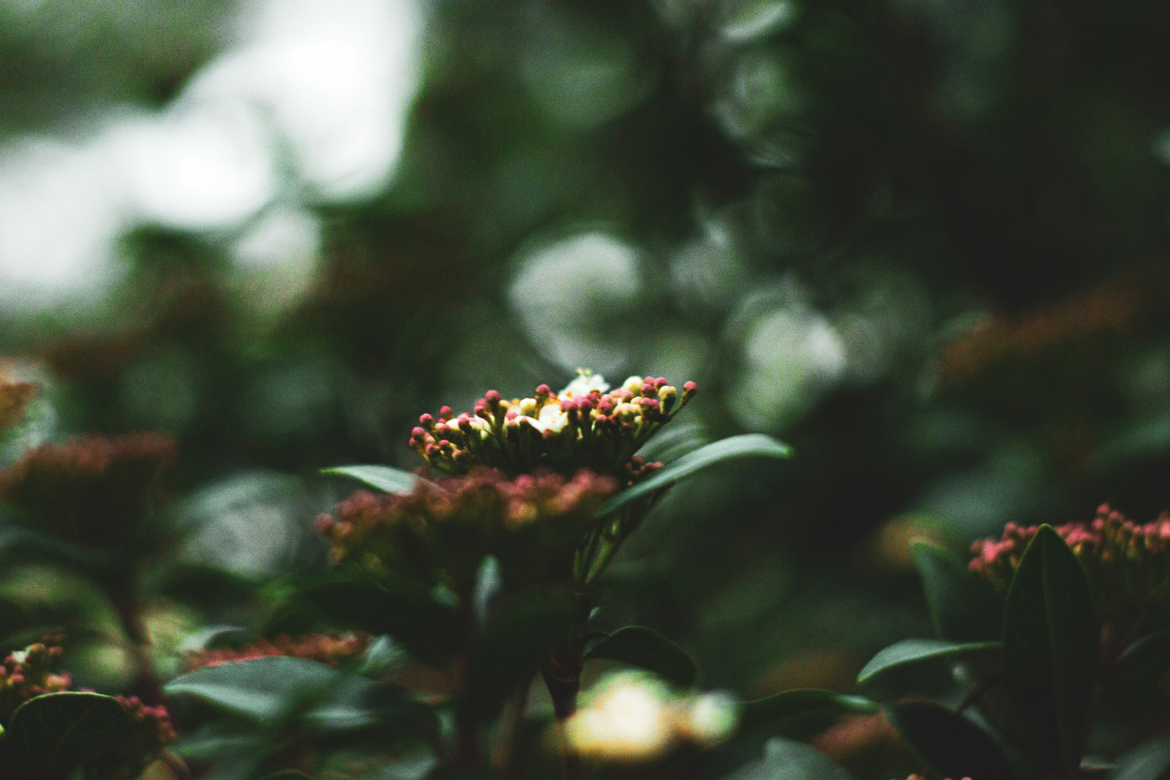 Photo by agustinfernandez