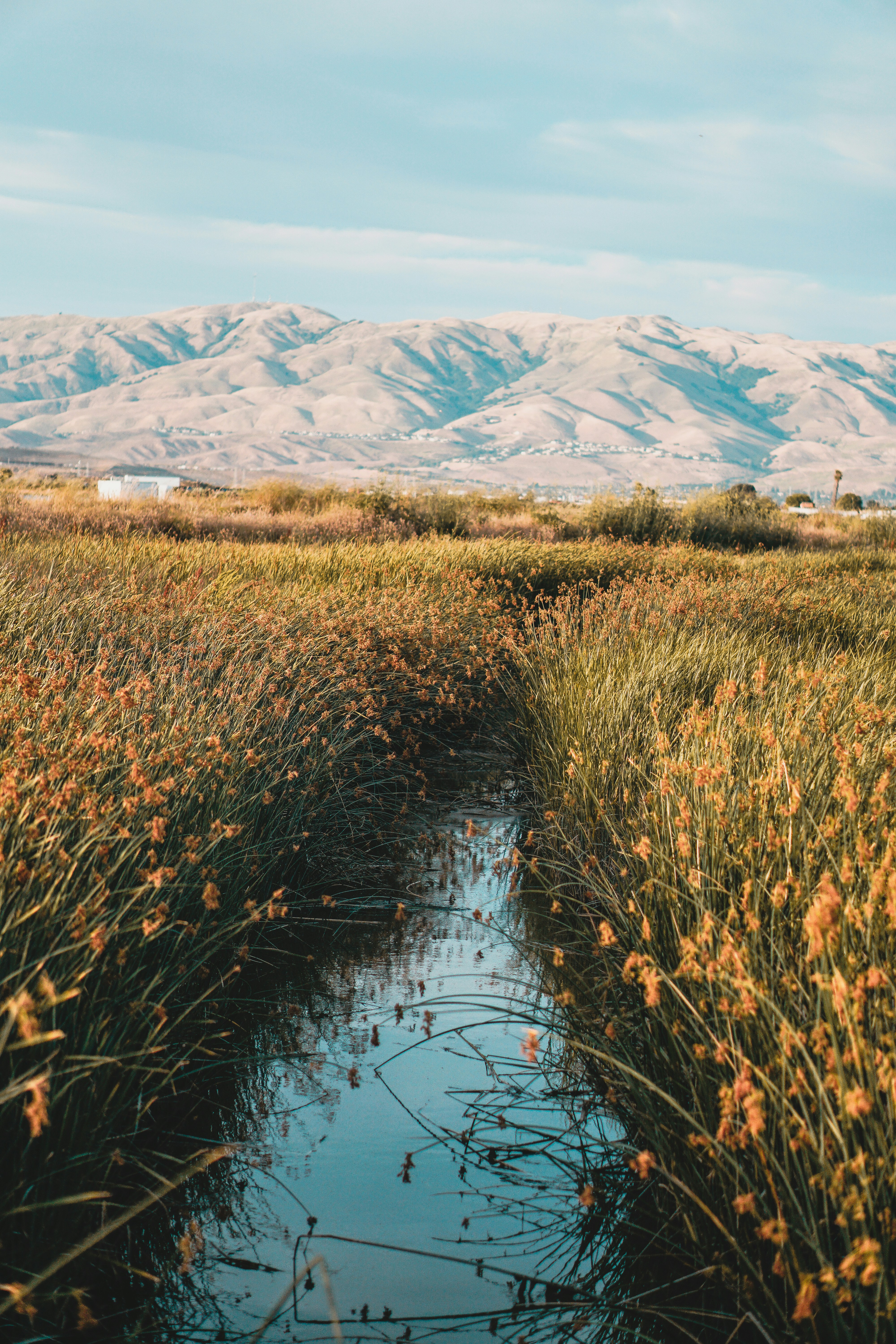 Photo by carterbrink