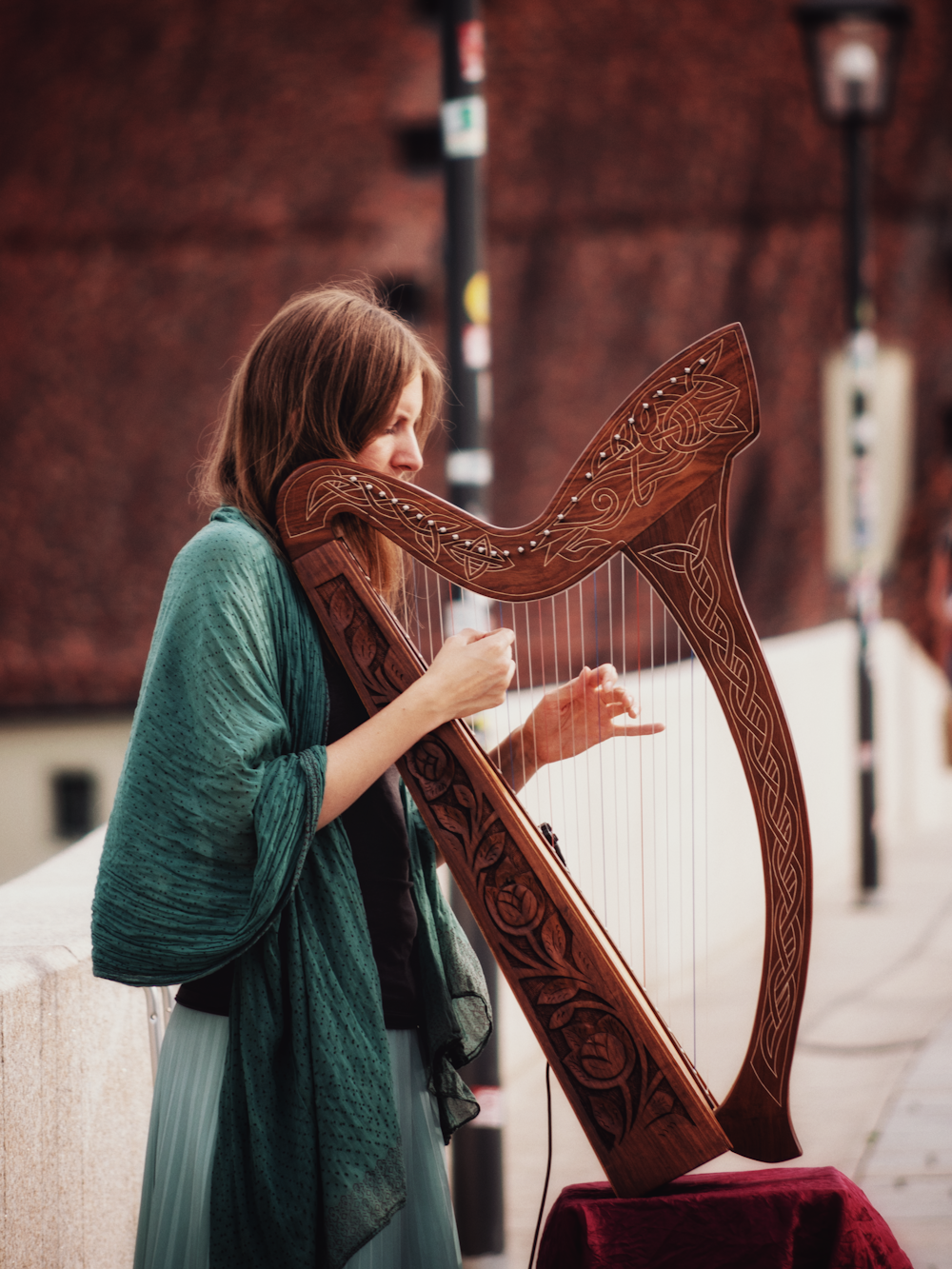 woman wearing harp