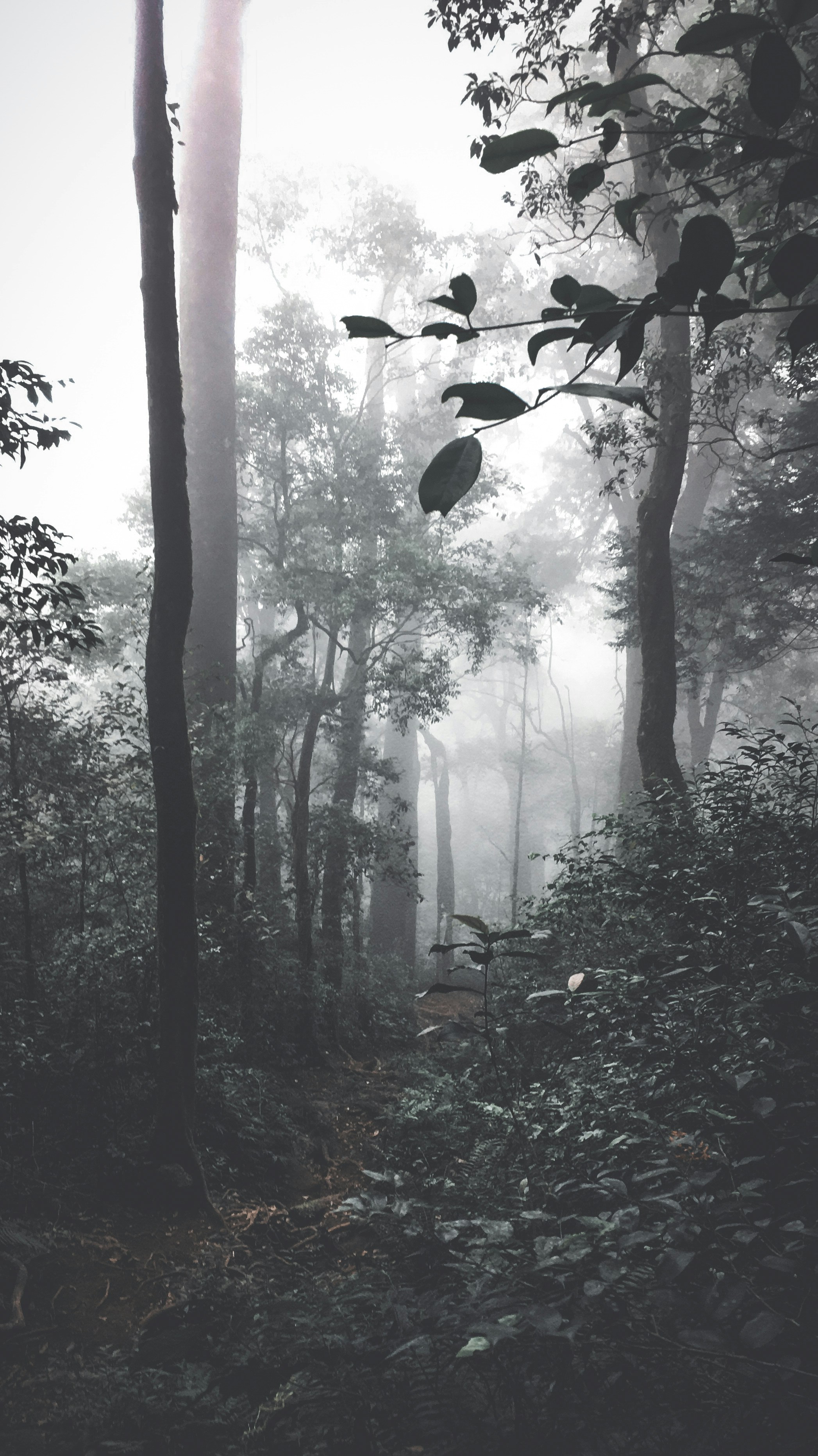 Photo by juliartana4