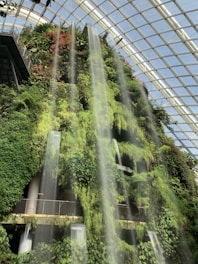 A lush vertical garden with cascading waterfalls inside a large glass conservatory. The plants cover the wall, with vibrant green foliage and spots of red flowers. Sunlight filters through the glass ceiling, creating a serene and refreshing atmosphere.