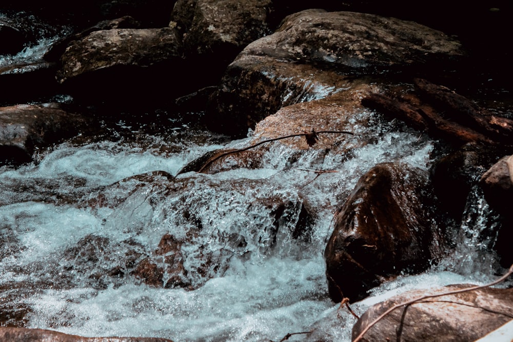 river and stone photo