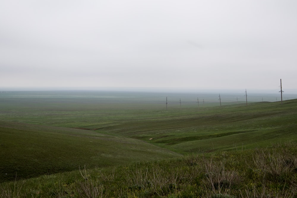 green grass field