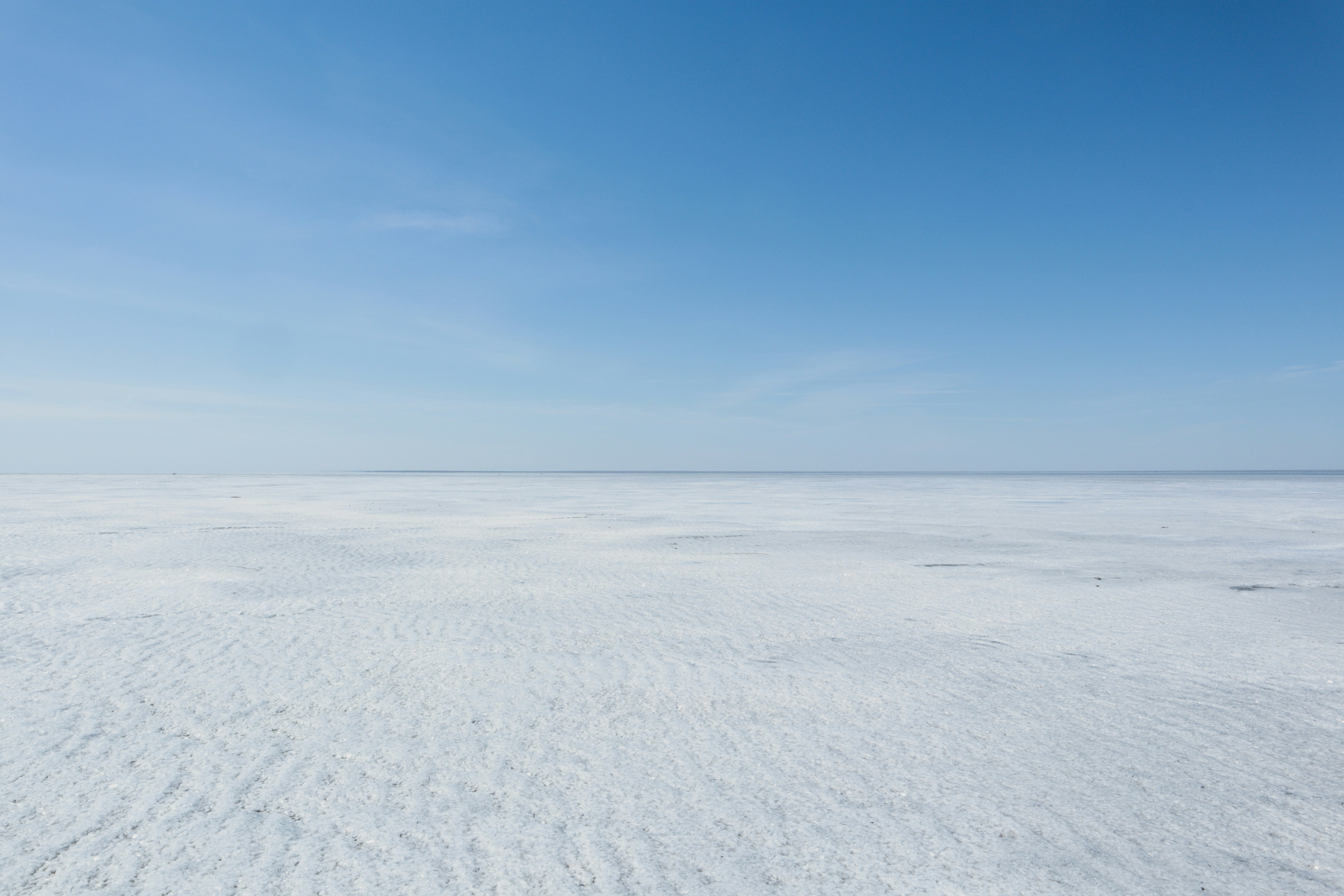 De Long Islands, Russia - None