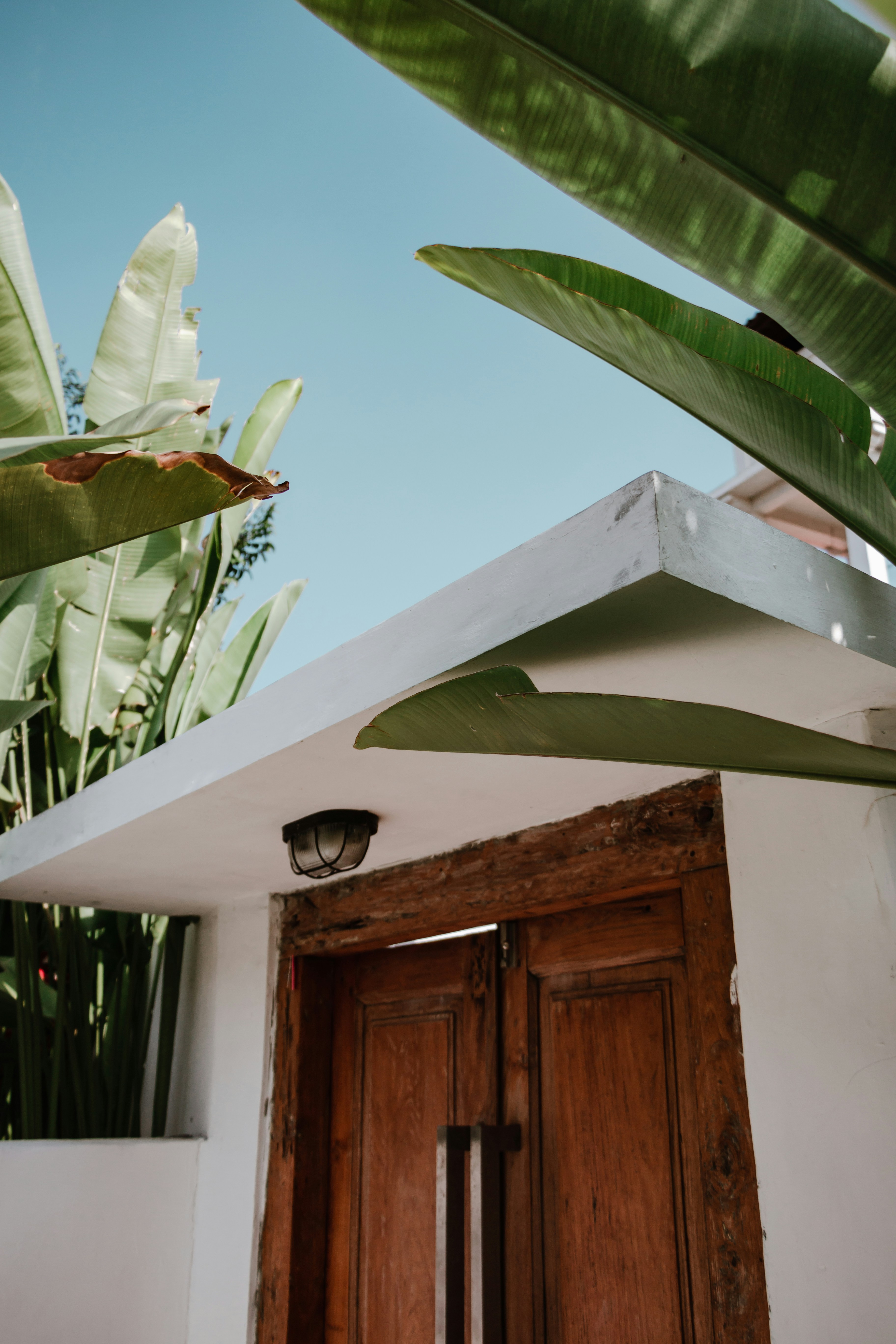 Photo by chandradaru