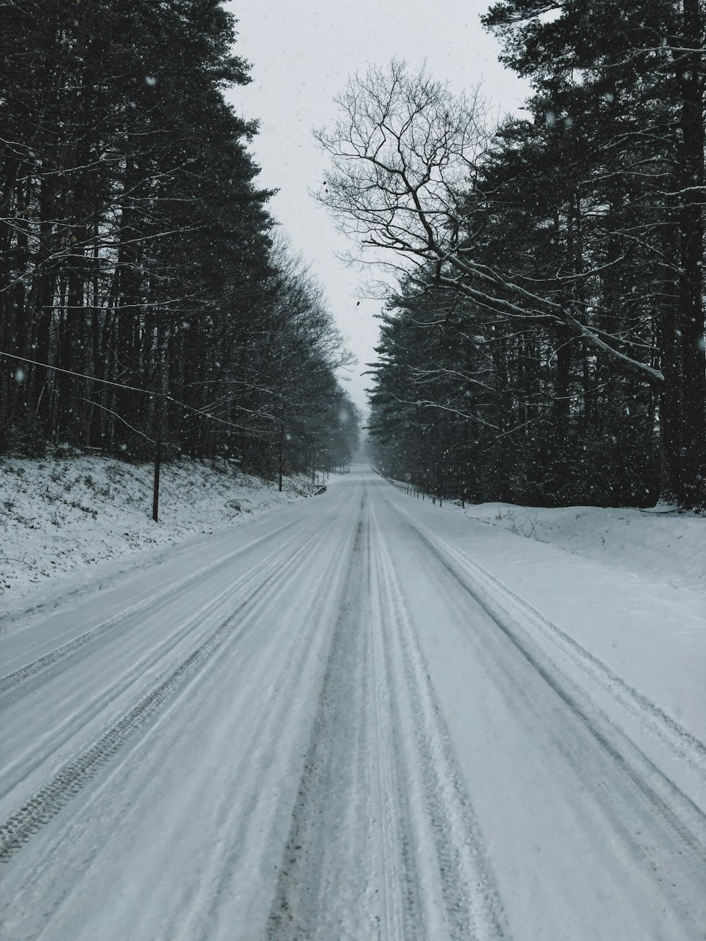 verschneite Straße tagsüber