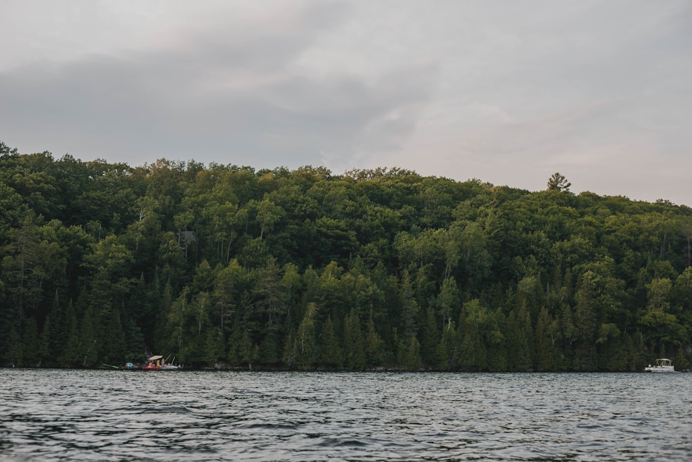 boats in body of water near mountain