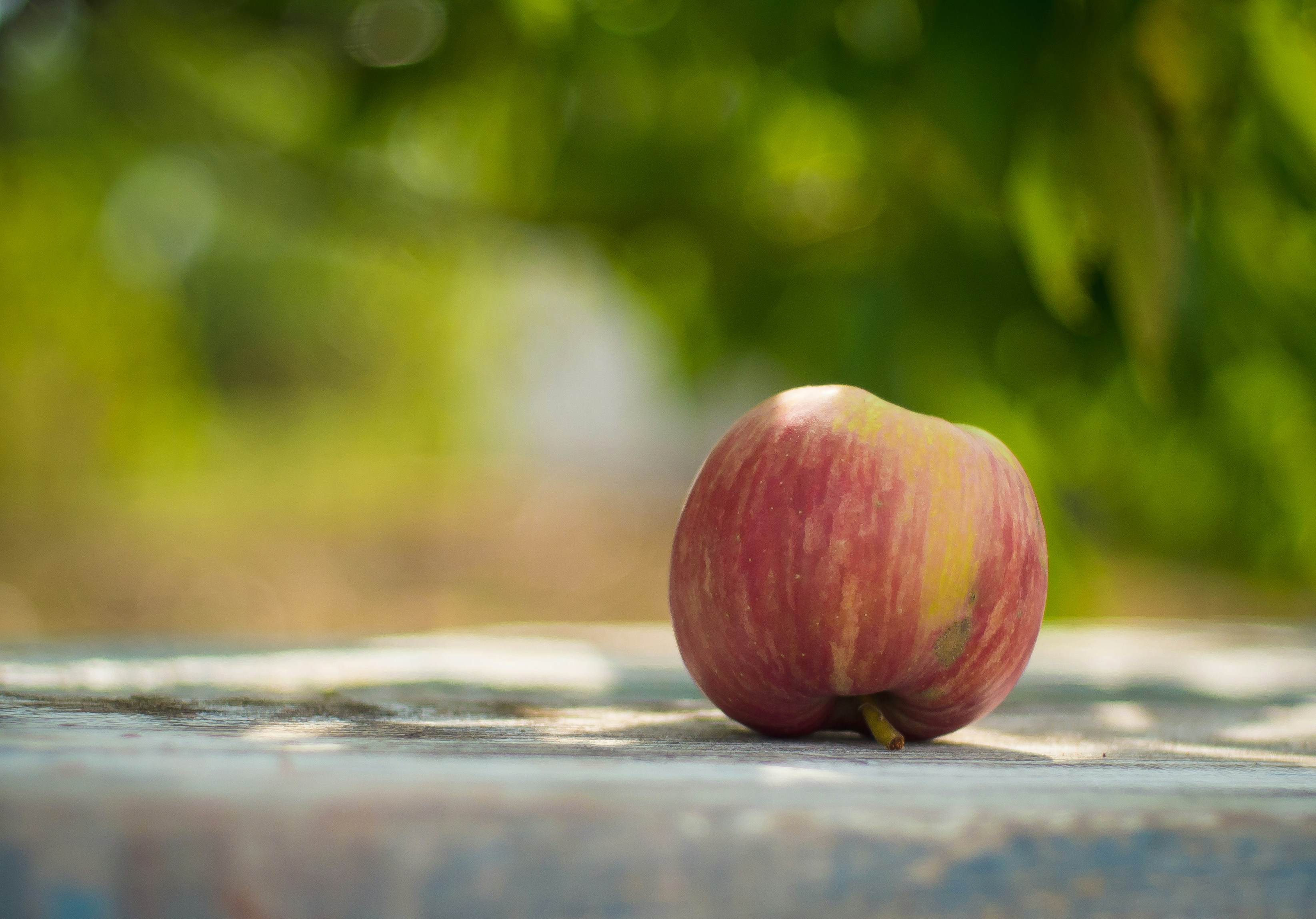 Photo by mihailovitsh