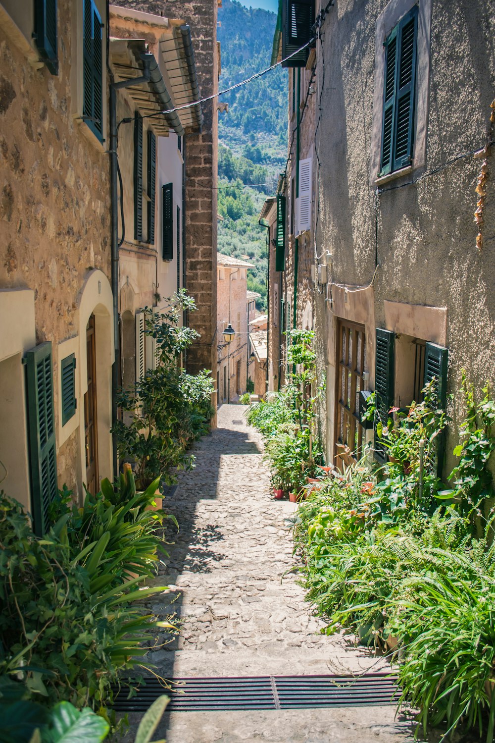 Route vide près de l’immeuble brun pendant la journée