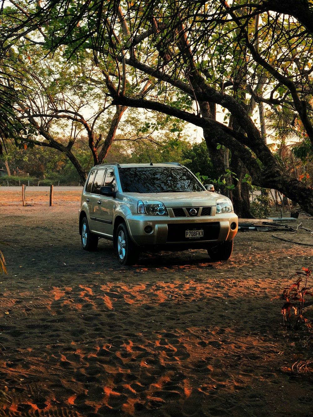 gray SUV parked on sand besides trees