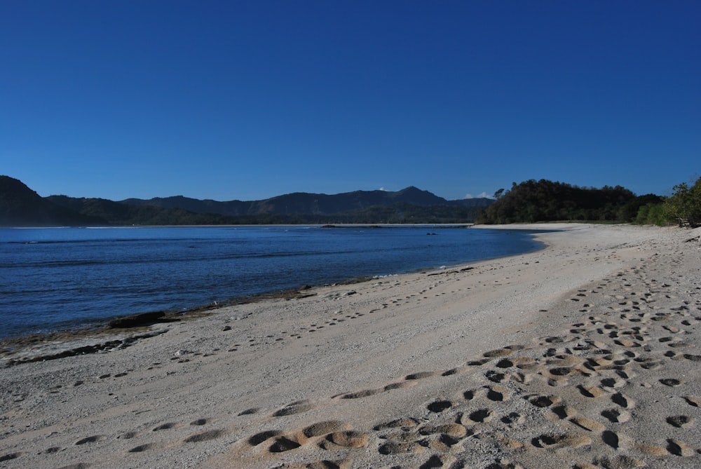 seashore scenery