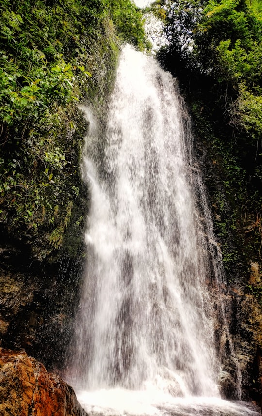 waterfall near green plants during daytime in Manikhel Nepal