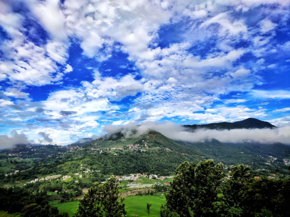 trees on mountain under cloudy sky